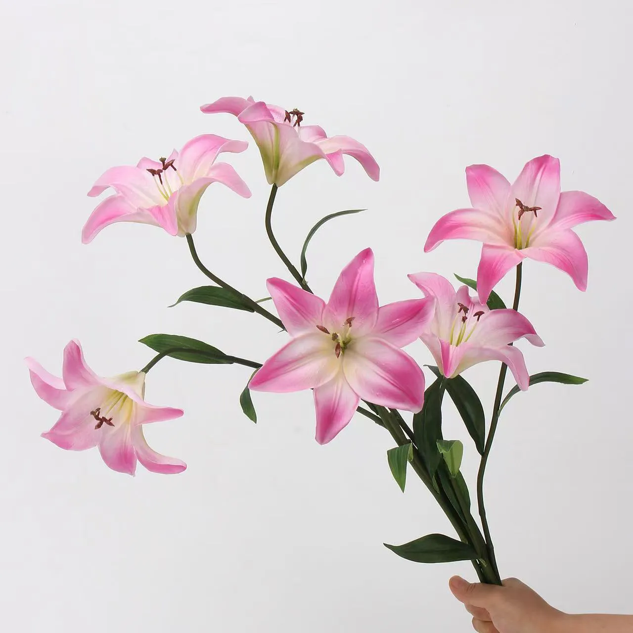 Lover Lily