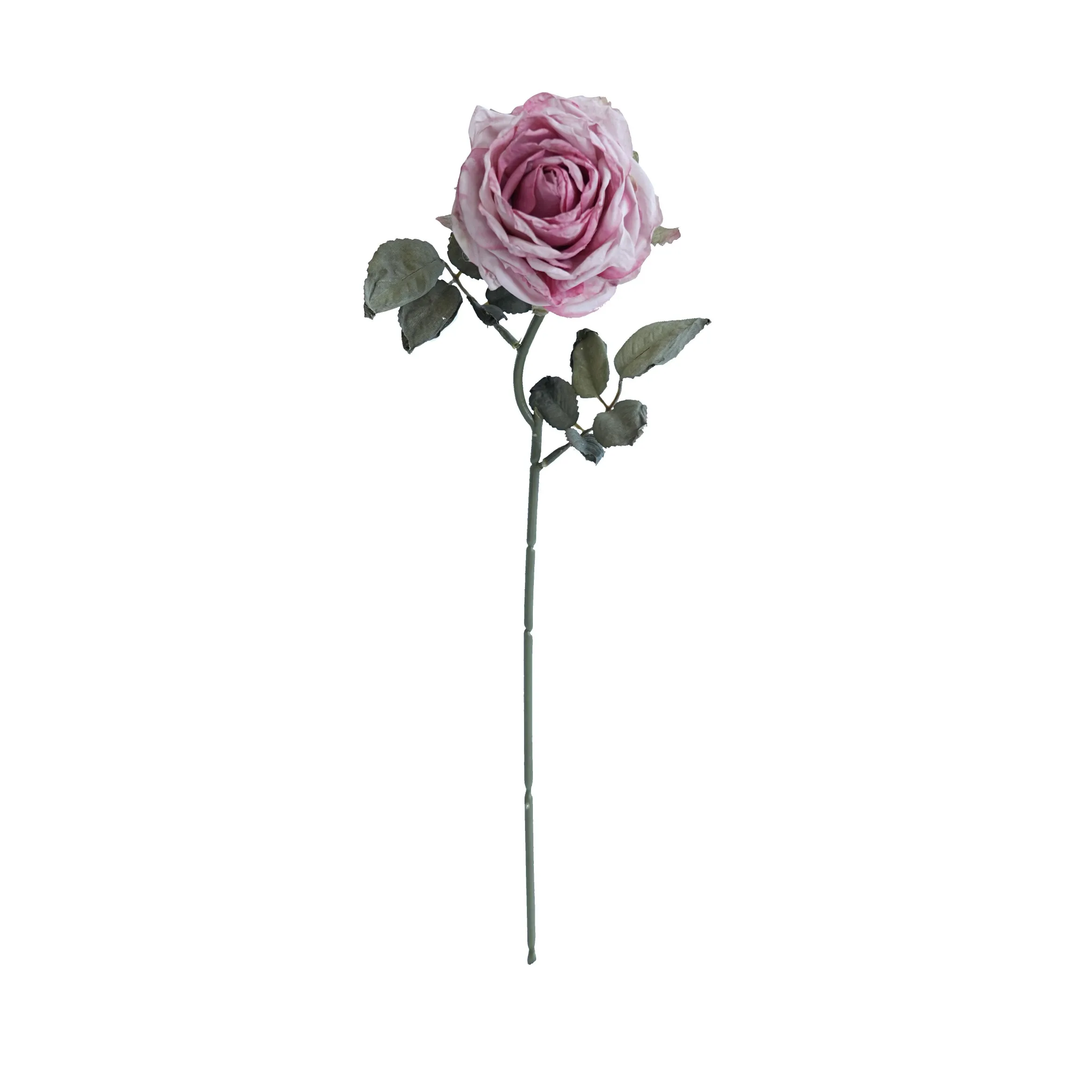 Cork-bordered multilayered roses