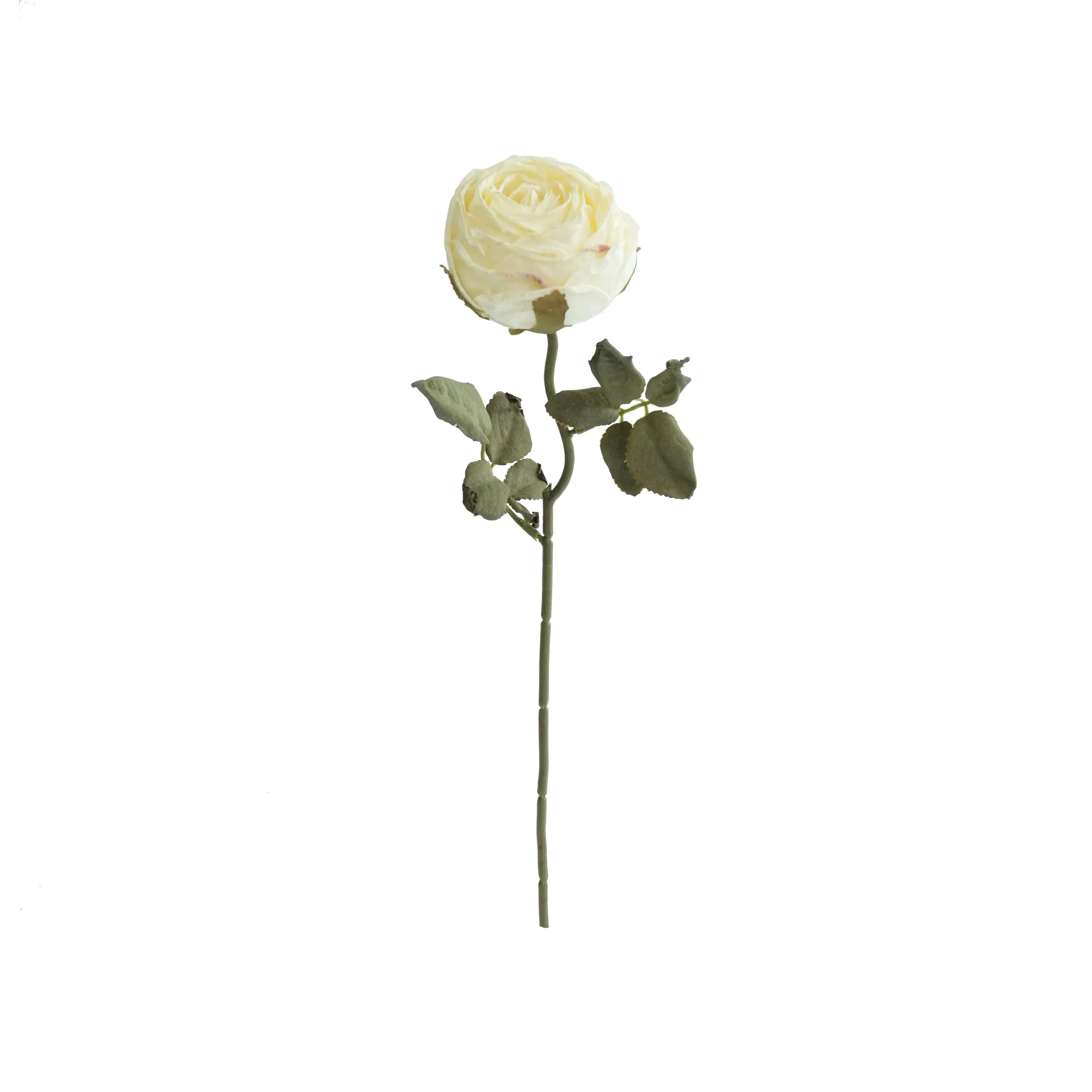 Chopped round roses