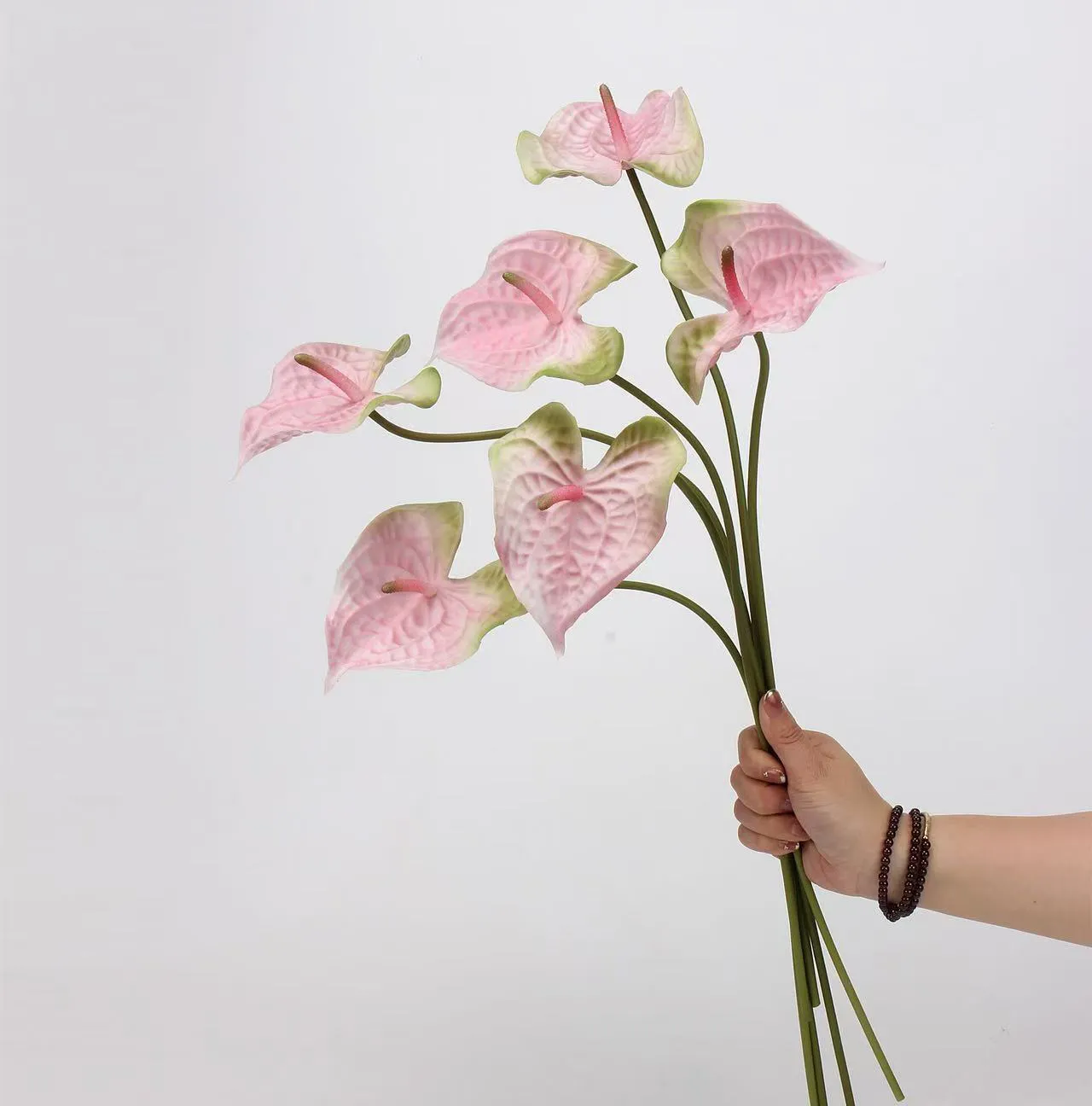 Anthurium palm