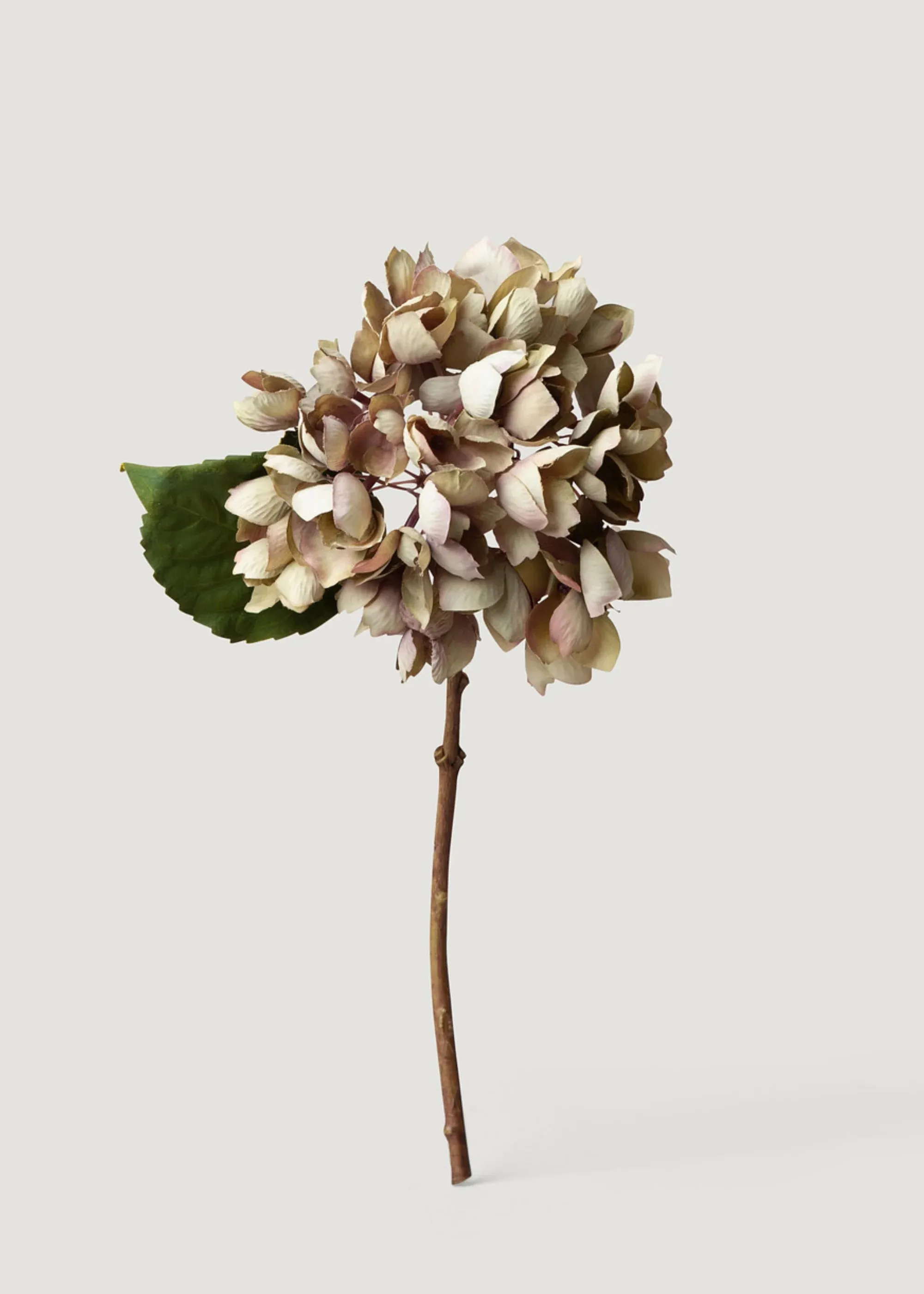 Dried Look Fake Hydrangea Flower