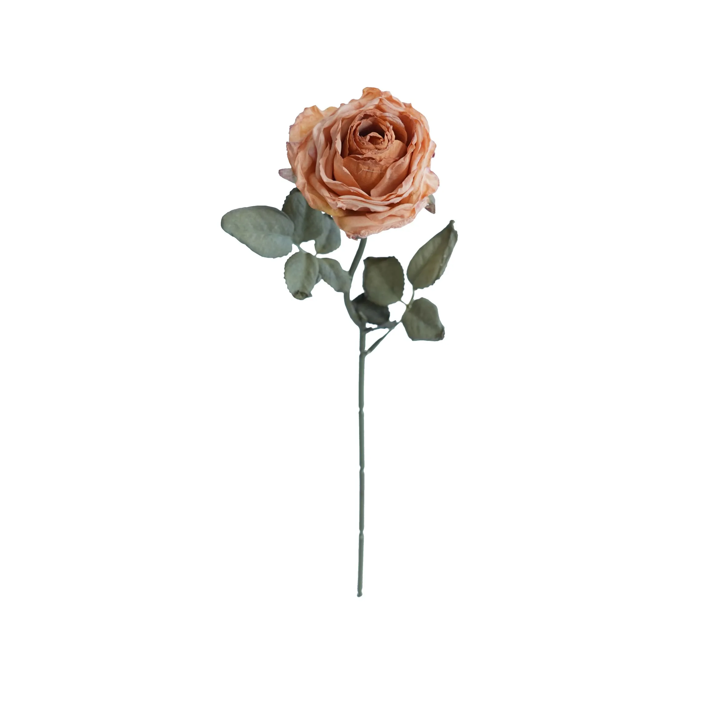 Cork-bordered multilayered roses