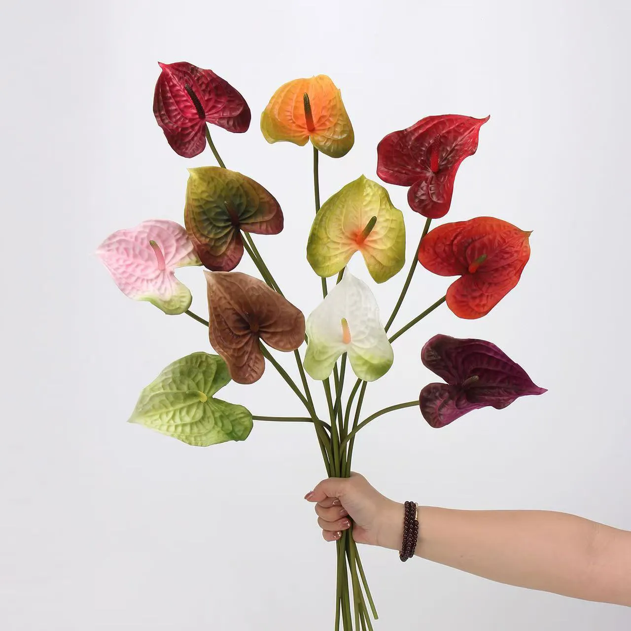 Anthurium palm