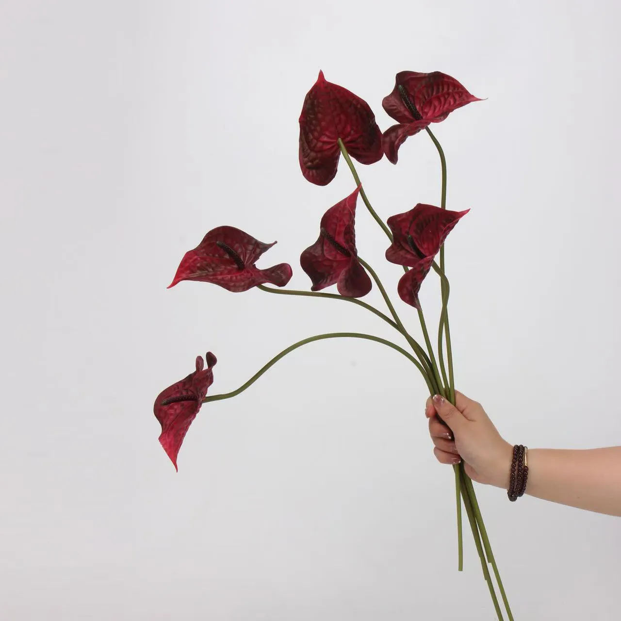 Anthurium palm