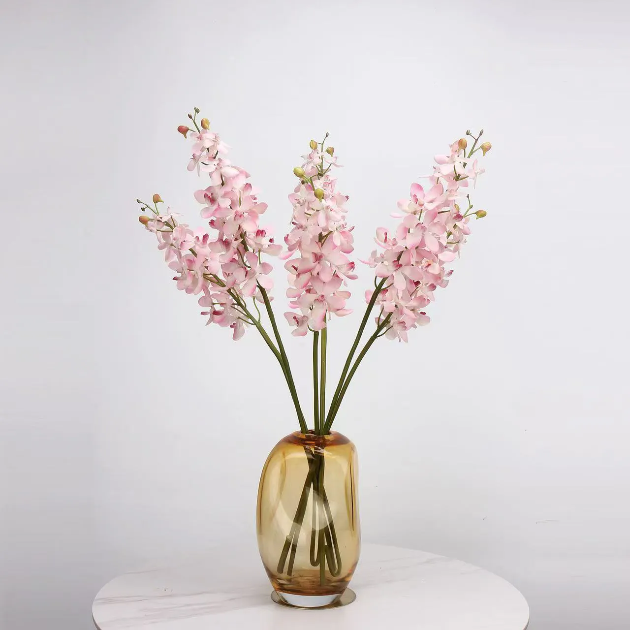 dendrobium