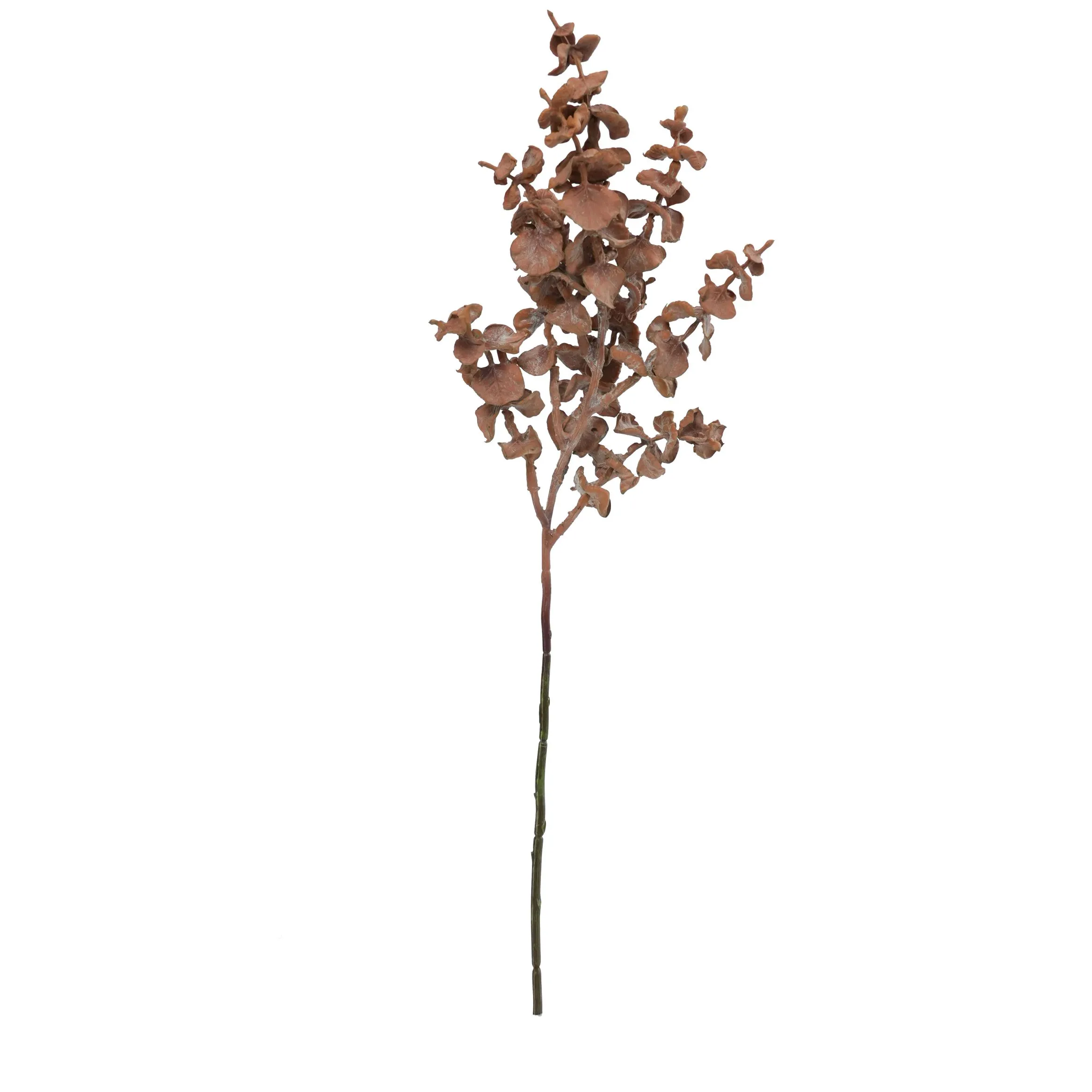 A single copper coin leaf
