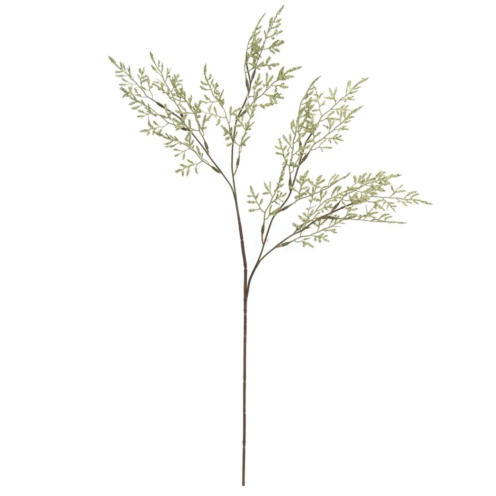 A single lover's herb