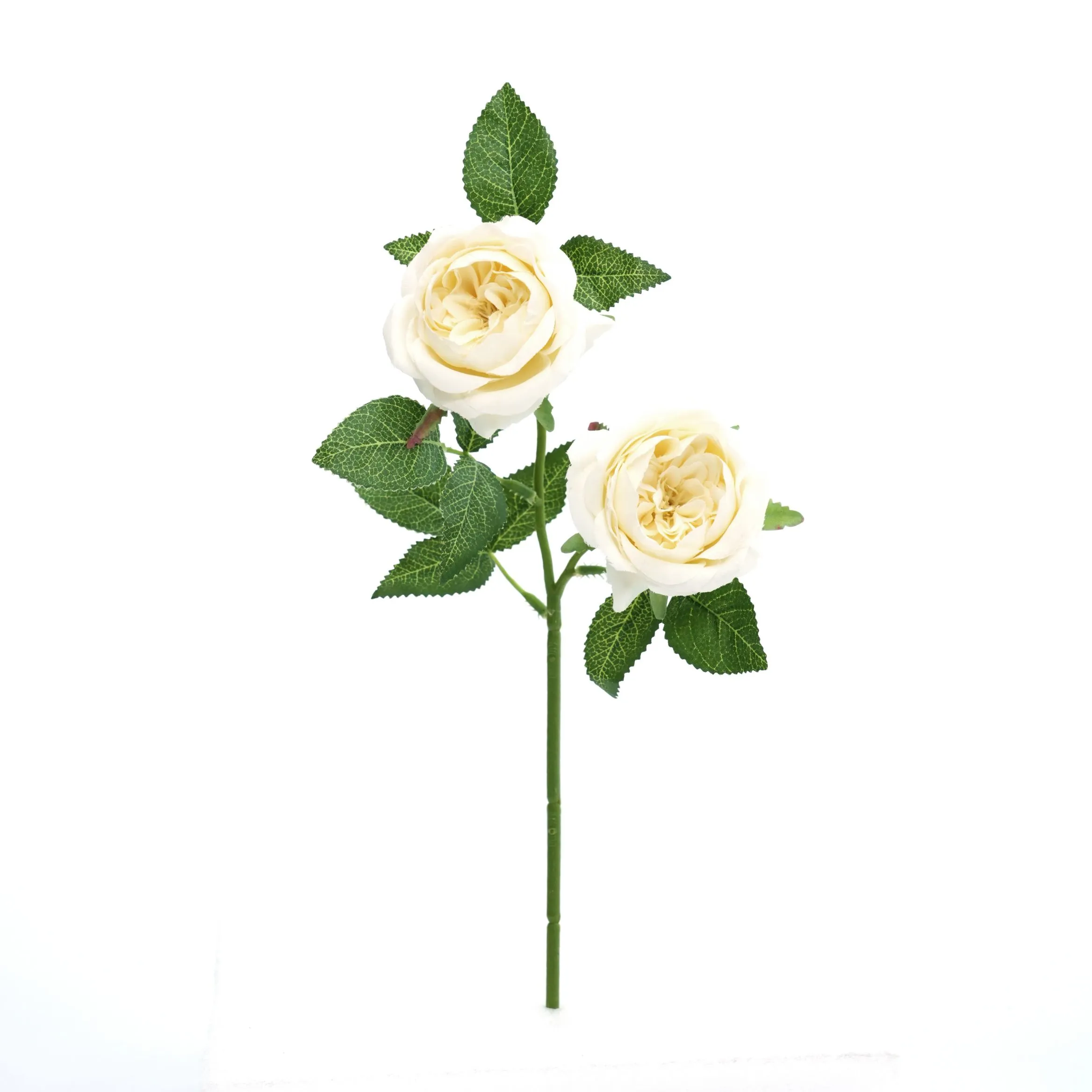 2 roses