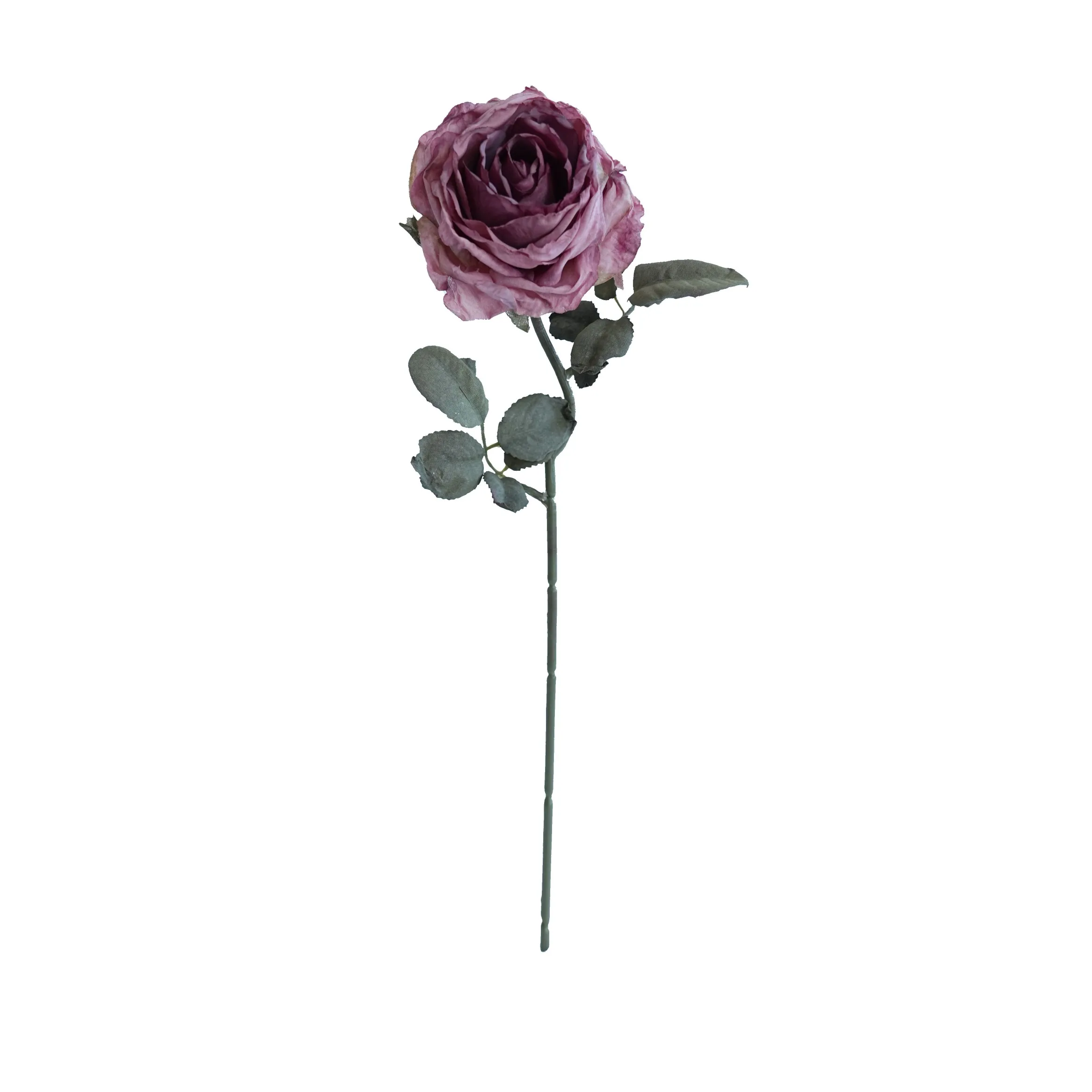 Cork-bordered multilayered roses
