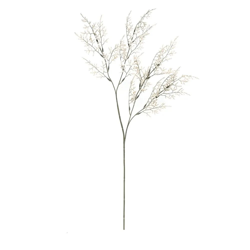 A single lover's herb