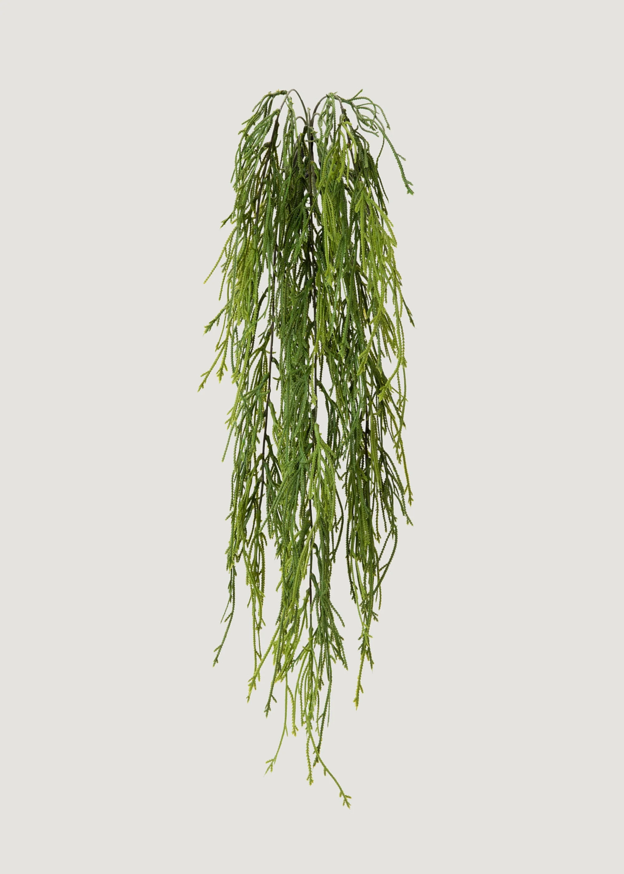 Indoor_Outdoor Fake Hanging Moss Fern Plant Starting from 100