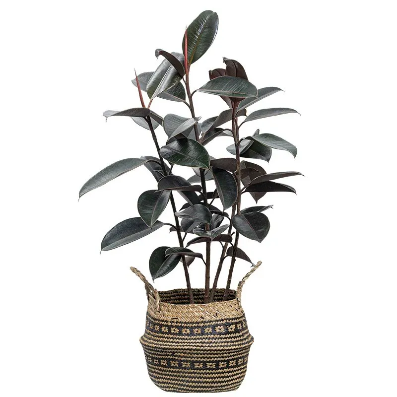 Artificial Rubber Potted Plant