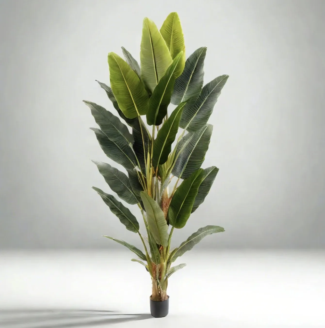 Senior Artificial Bird Of Paradise Potted Plant (Multiple Sizes)