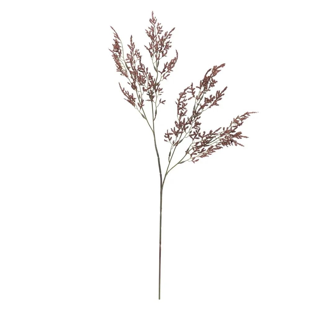 A single lover's herb