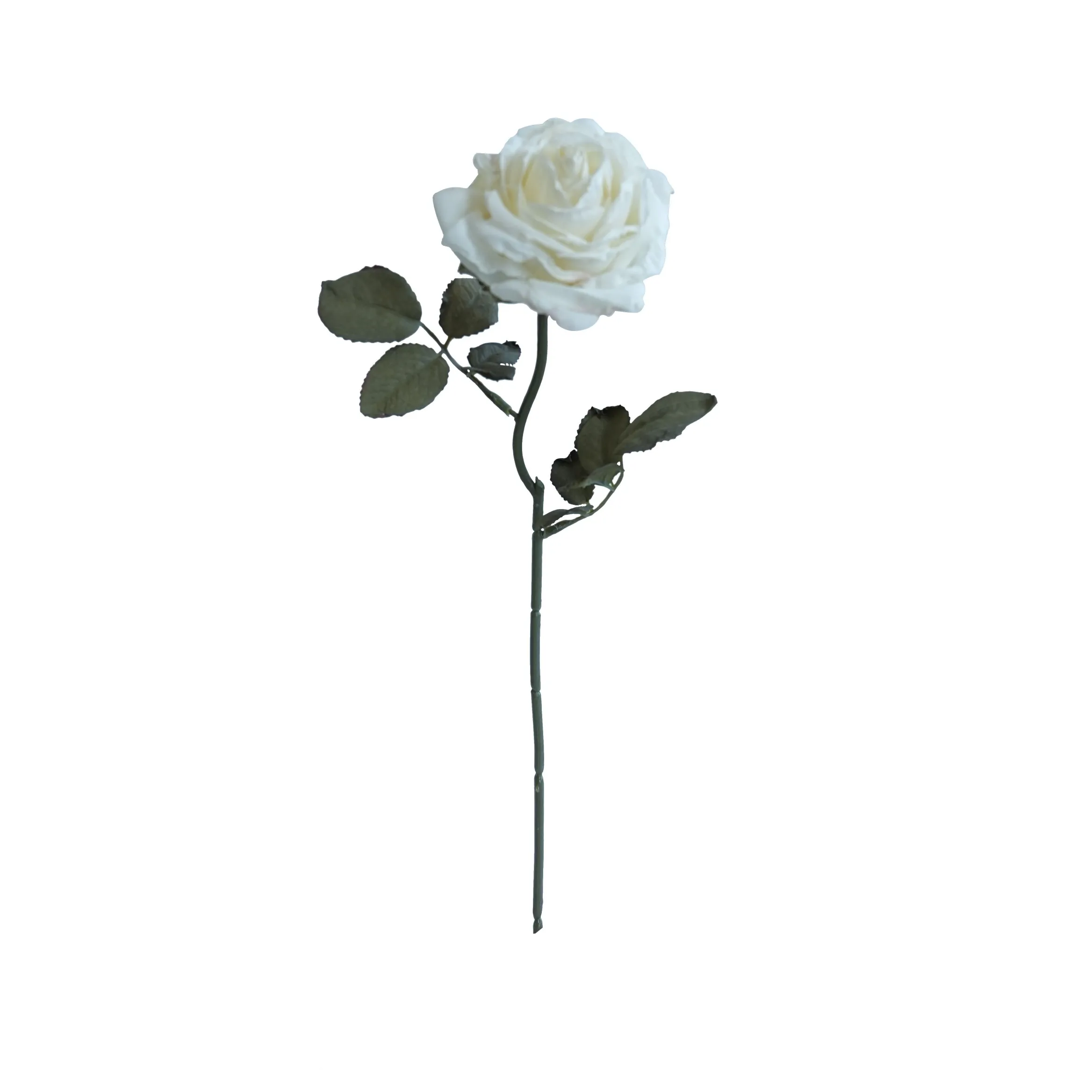 Cork-bordered multilayered roses