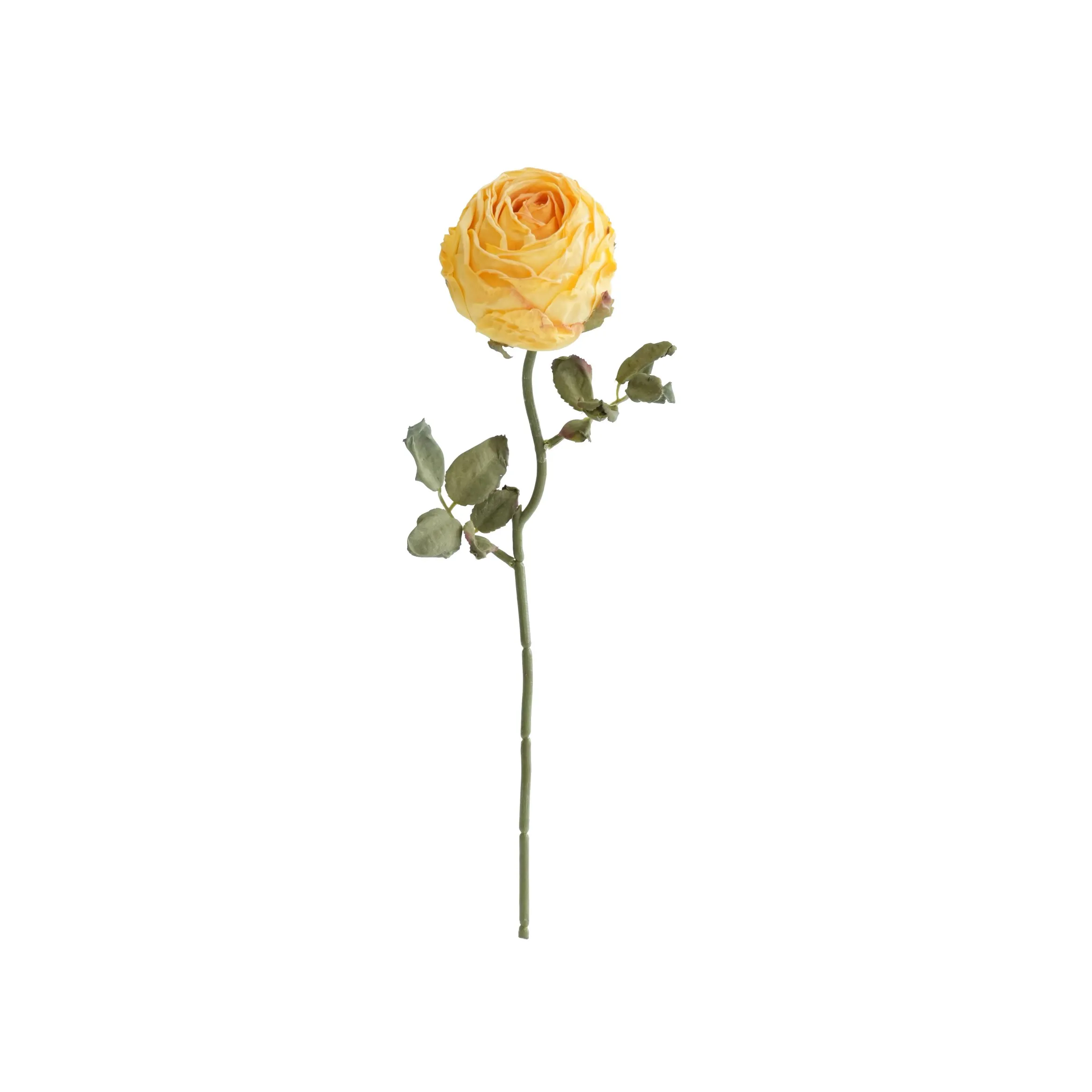 Chopped round roses