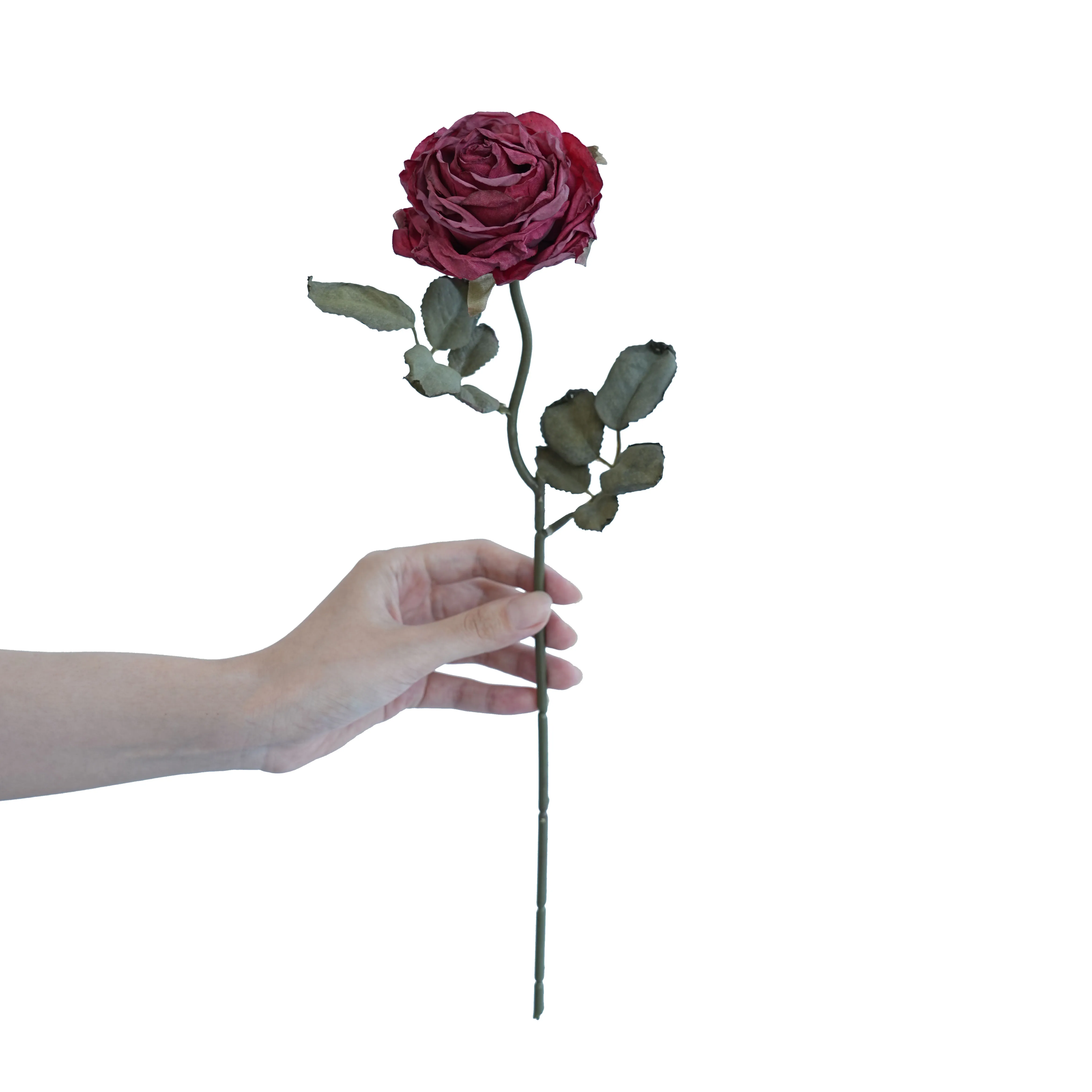 Cork-bordered multilayered roses