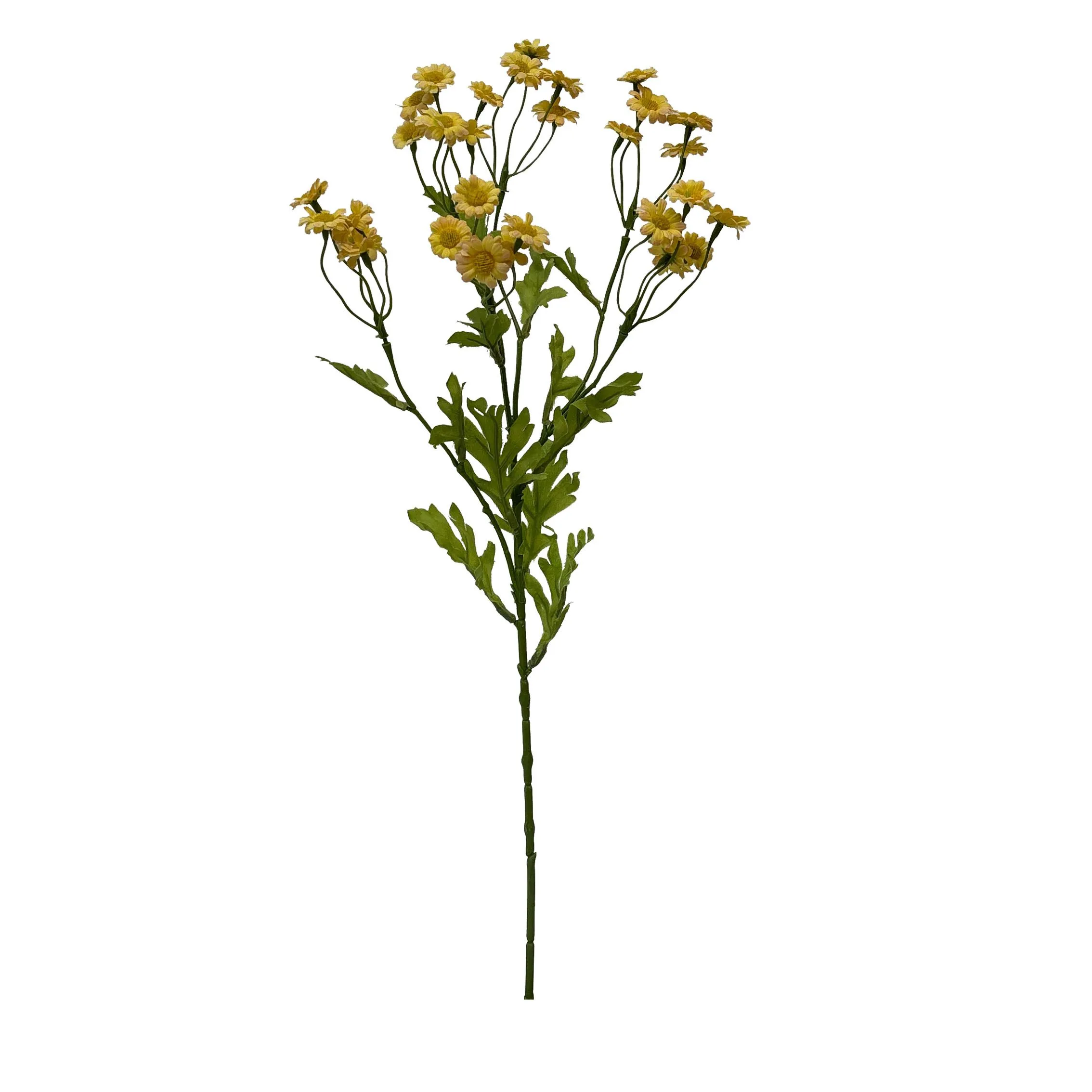 A single serving ofchamomile