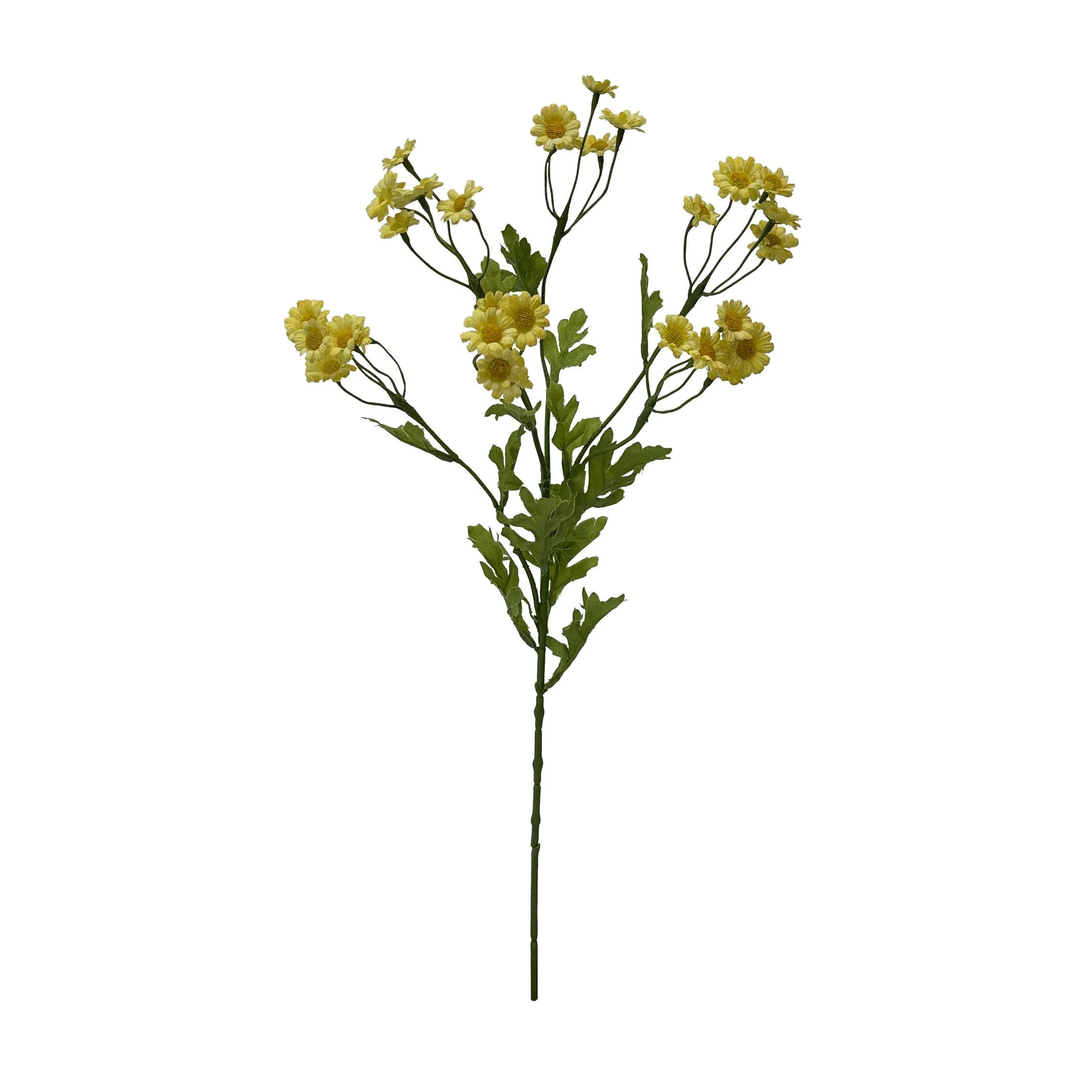 A single serving ofchamomile