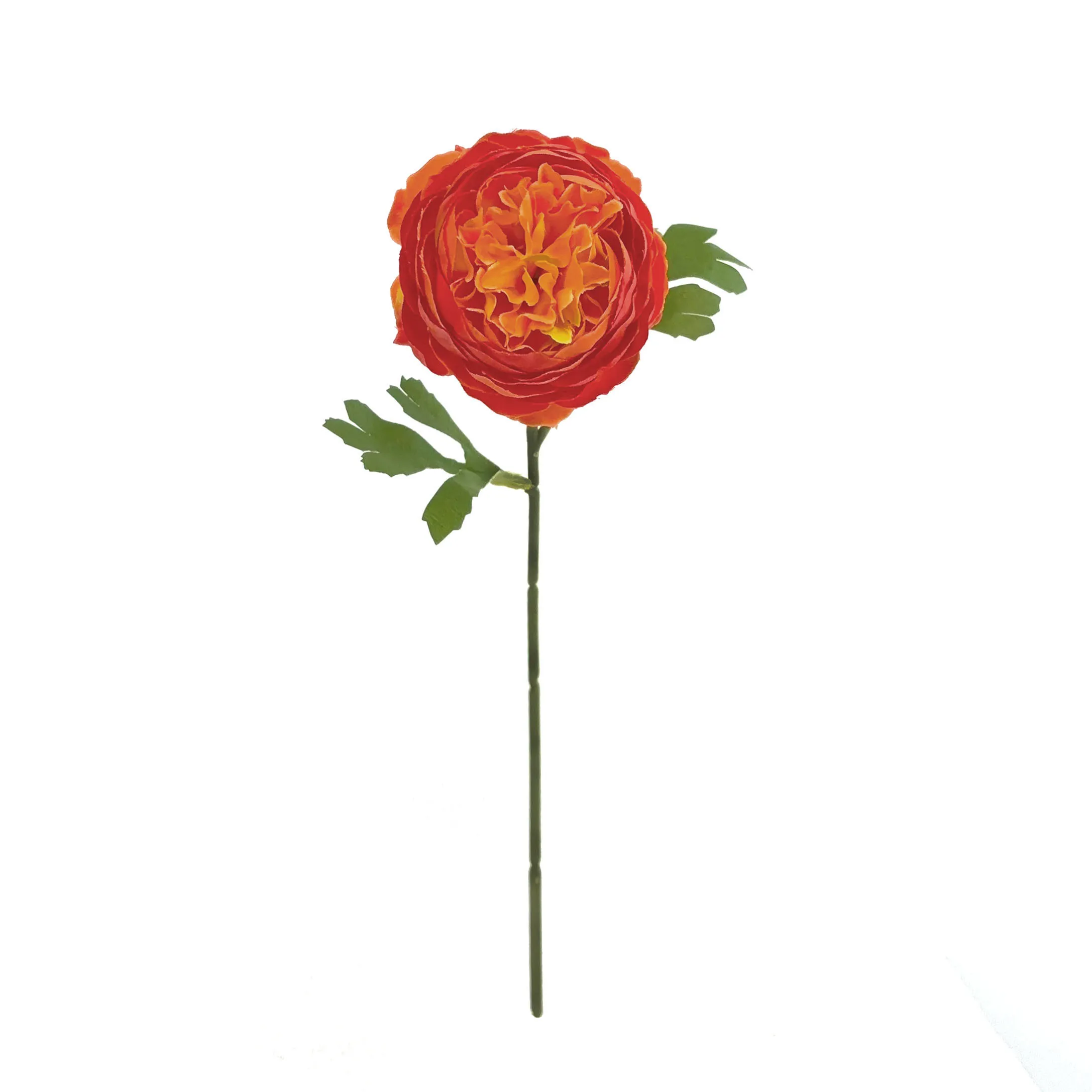 Monoheaded peonies