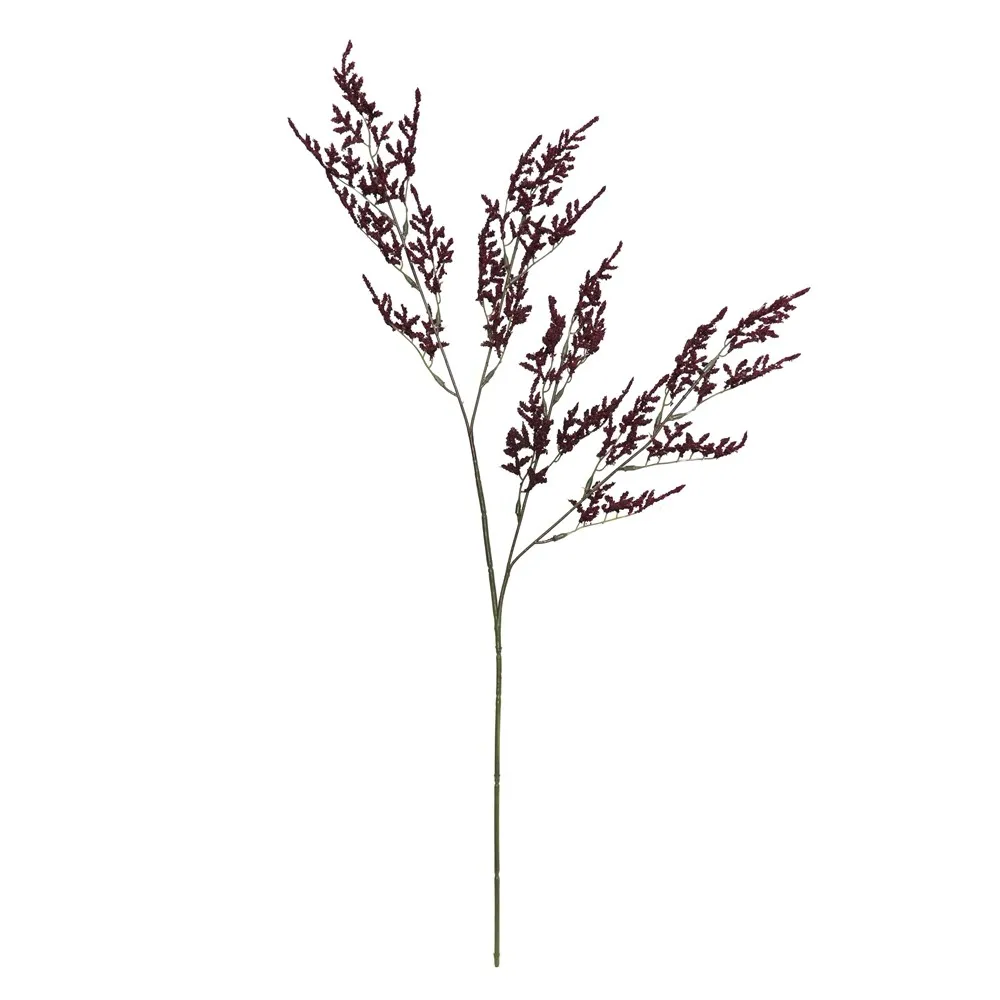 A single lover's herb