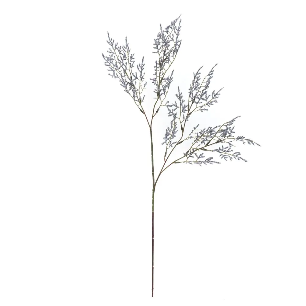 A single lover's herb