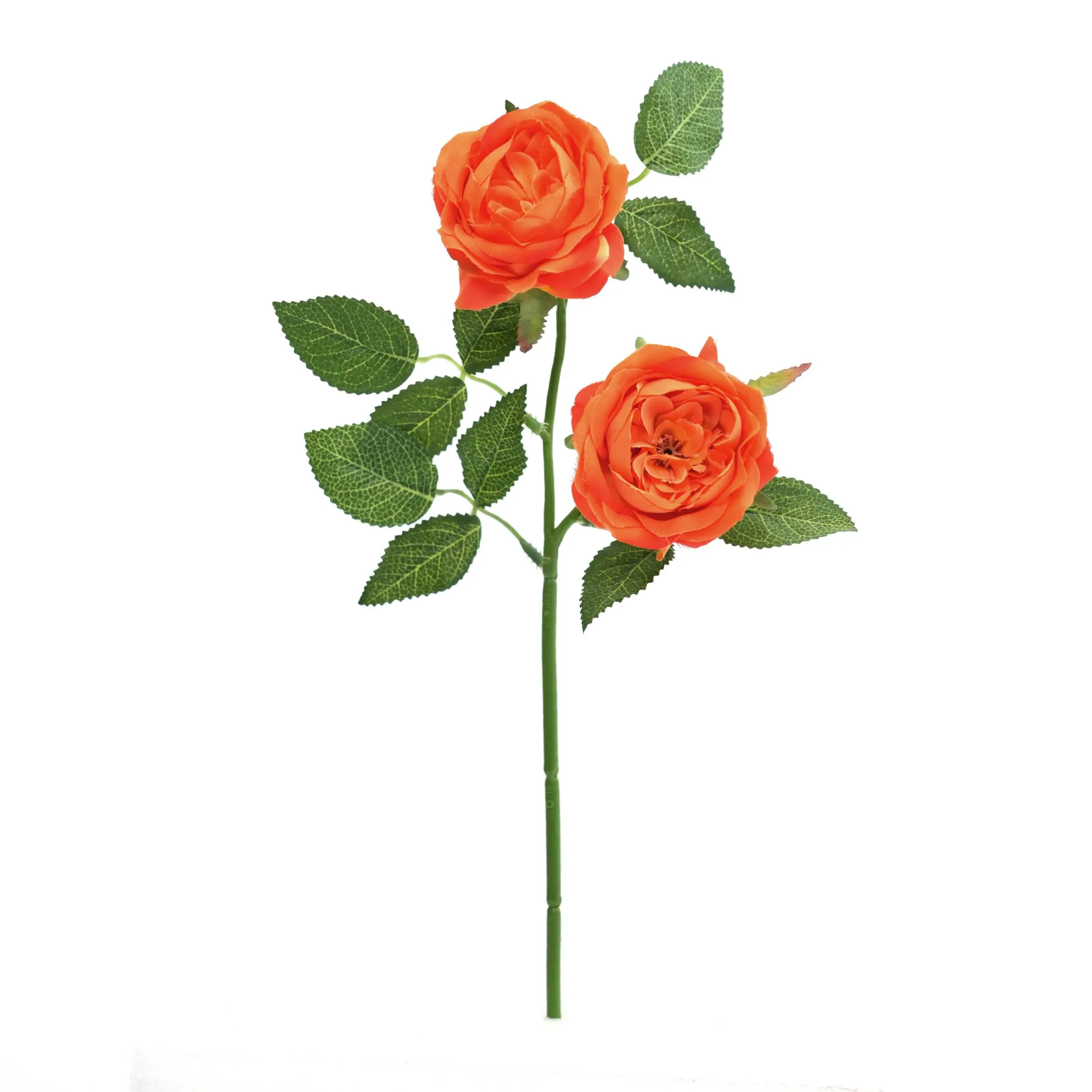 2 roses