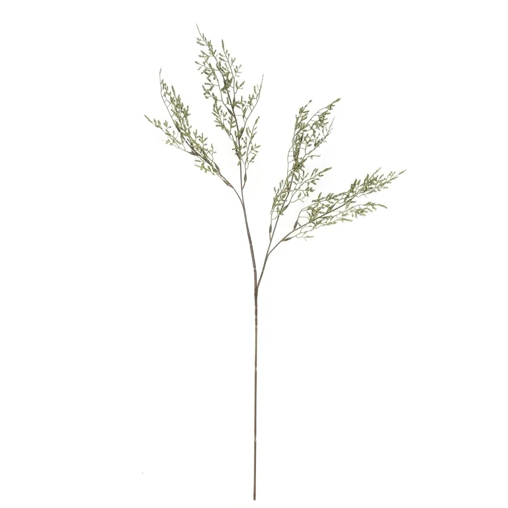 A single lover's herb