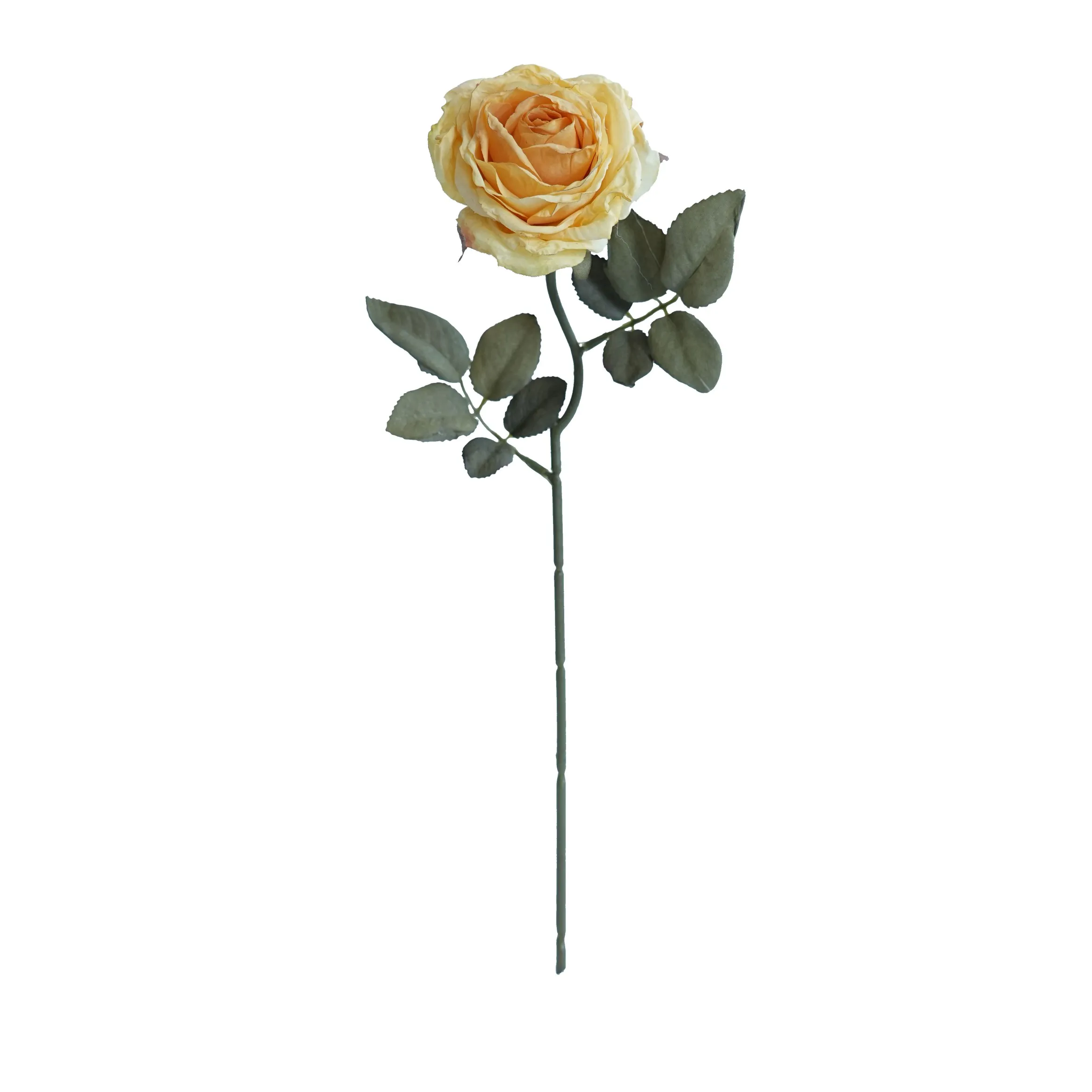 Cork-bordered multilayered roses