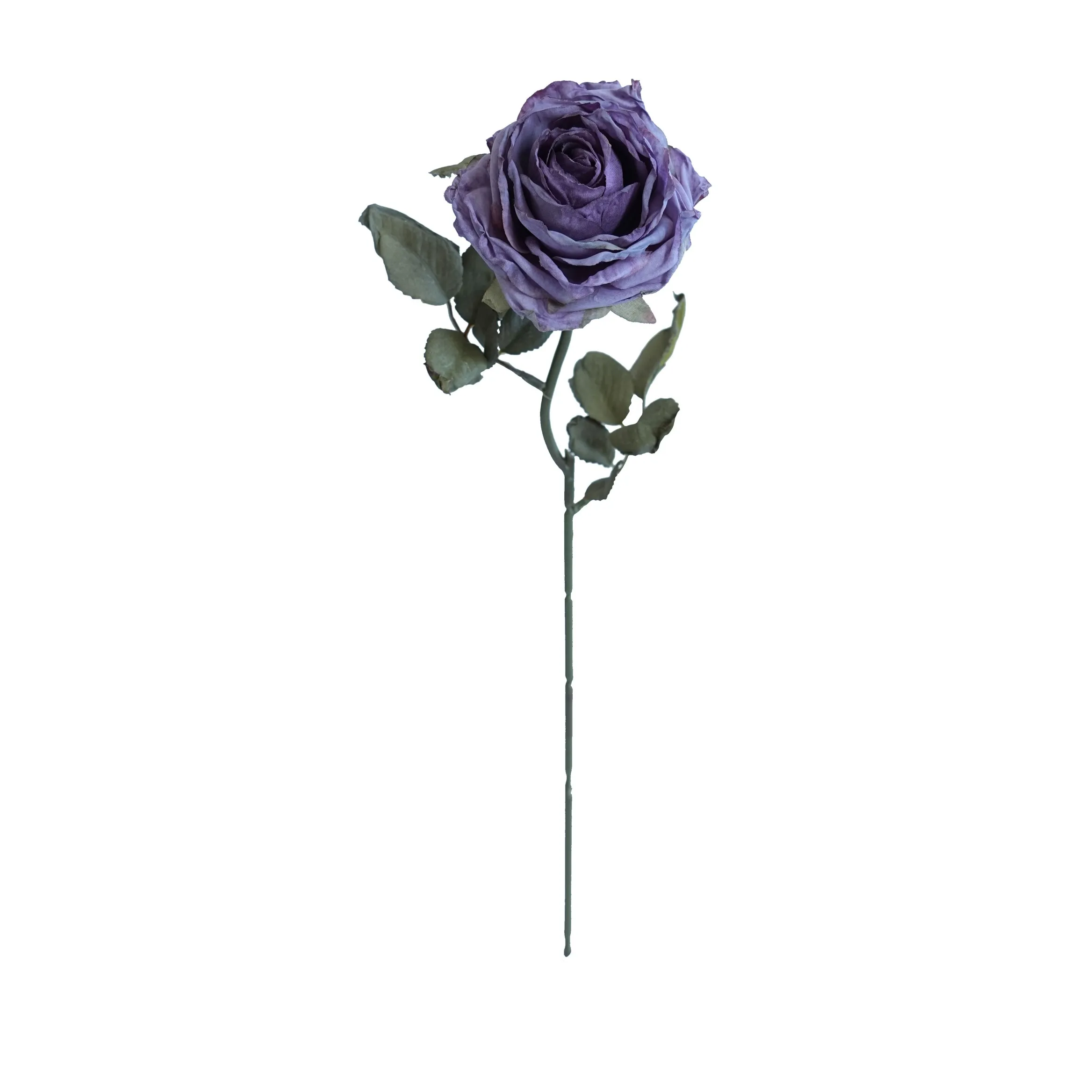 Cork-bordered multilayered roses