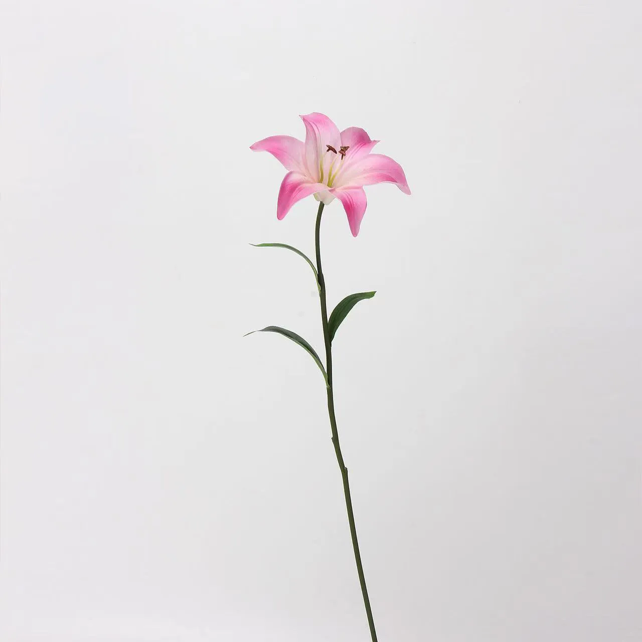 3D Printing Simulation Flower: Hardware as a True Reflection of Factory Strength