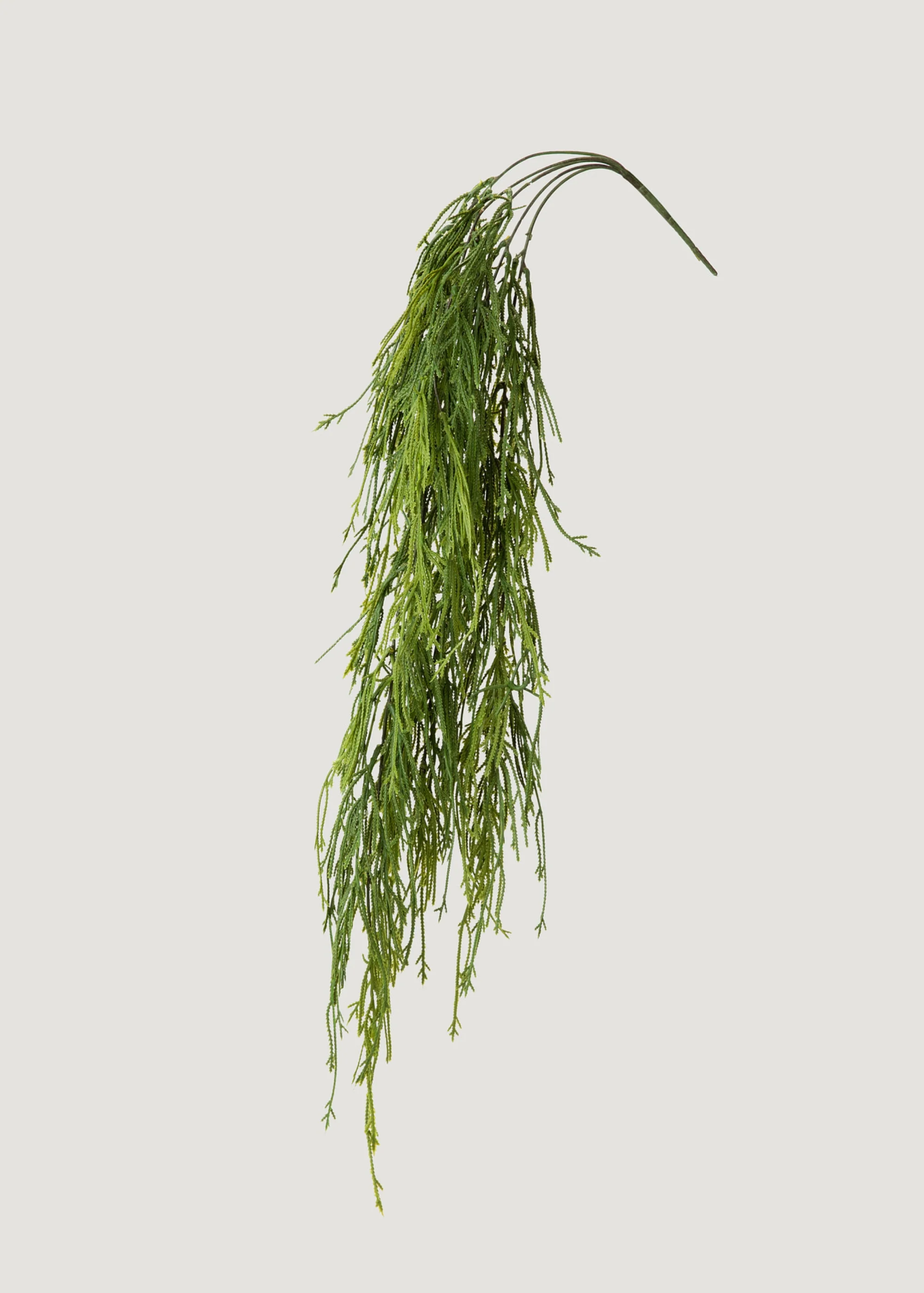 Indoor_Outdoor Fake Hanging Moss Fern Plant Starting from 100