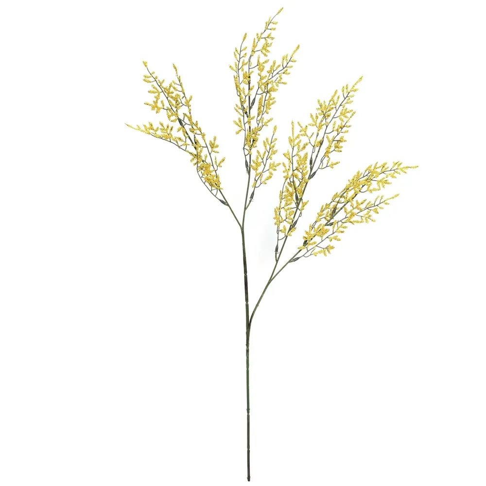 A single lover's herb