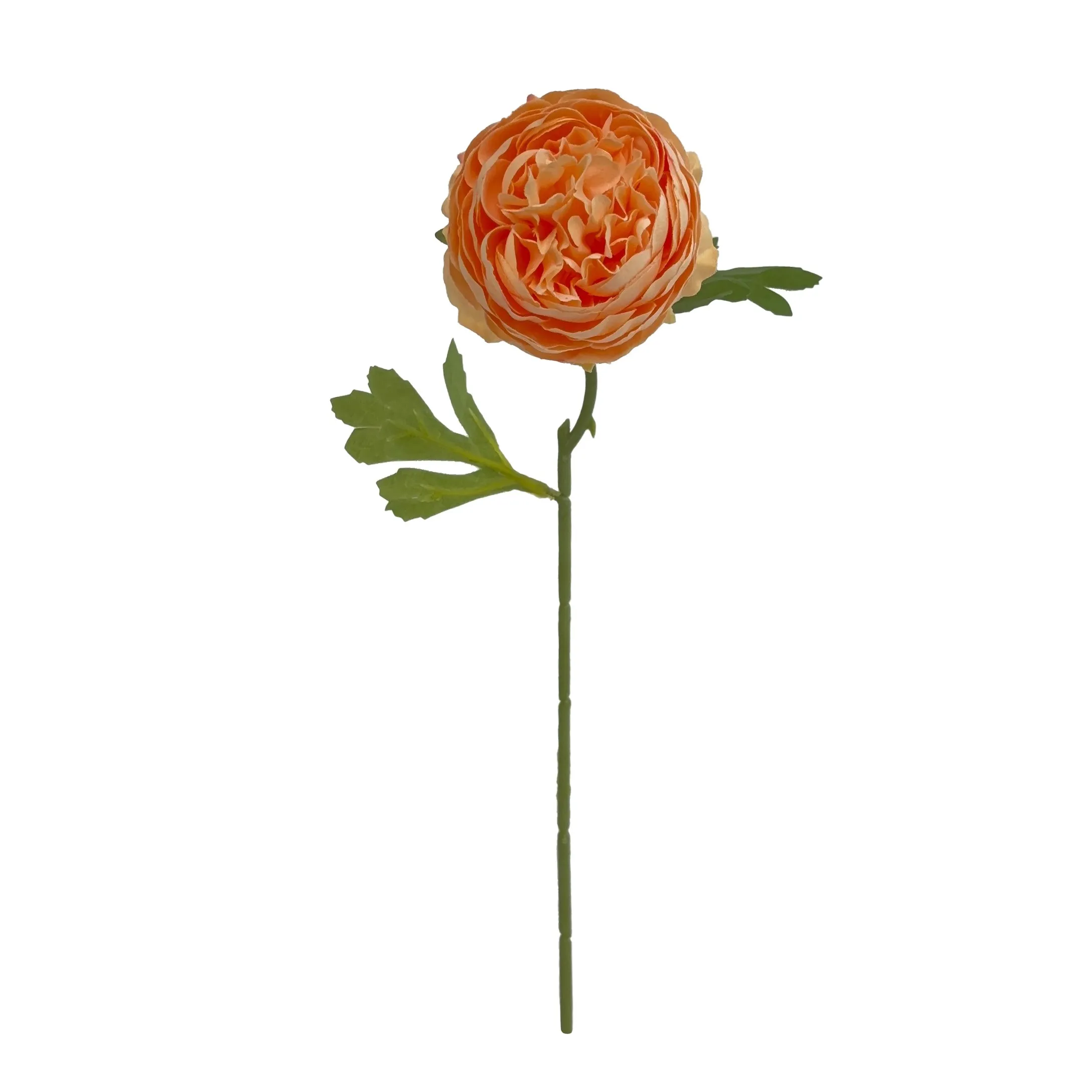 Monoheaded peonies