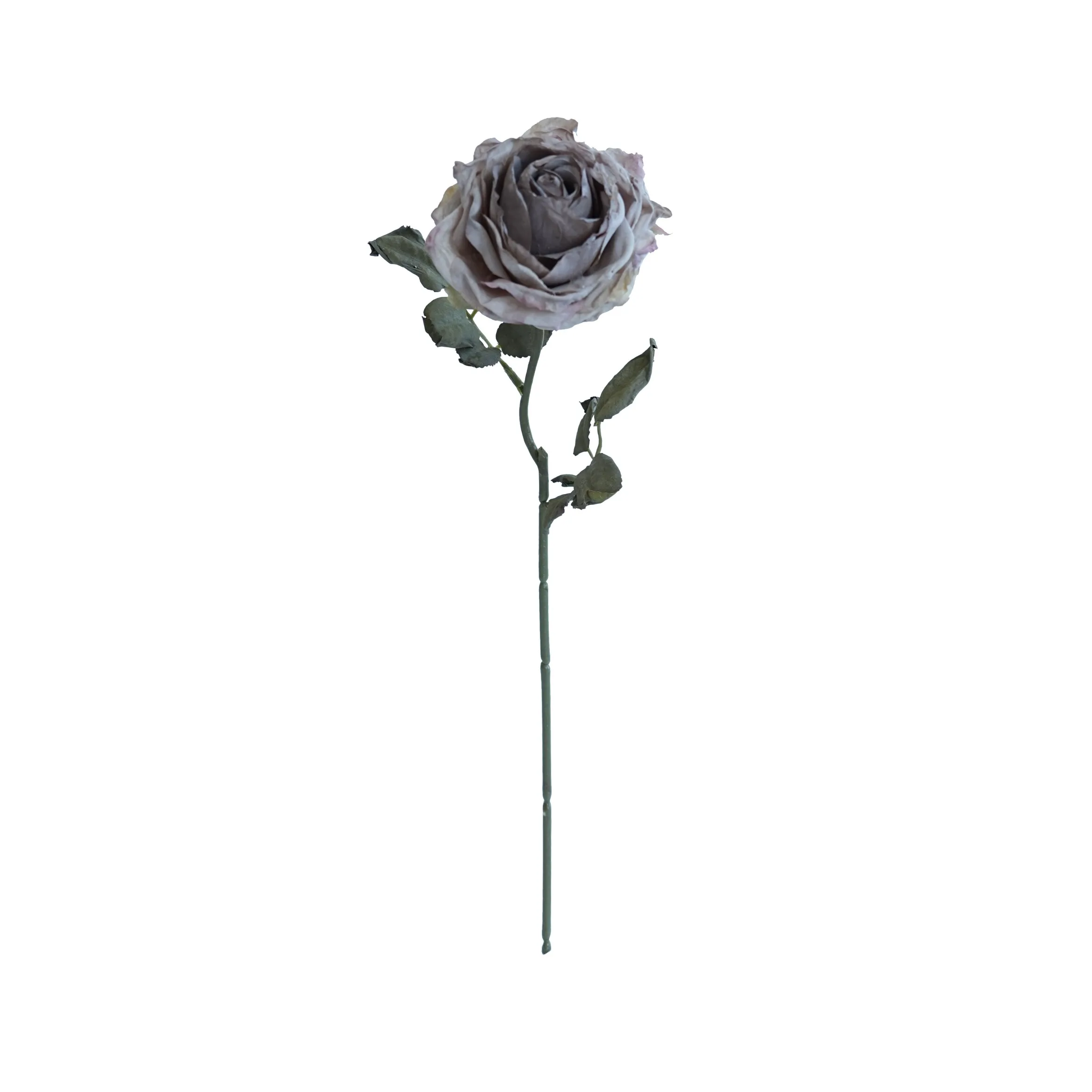 Cork-bordered multilayered roses
