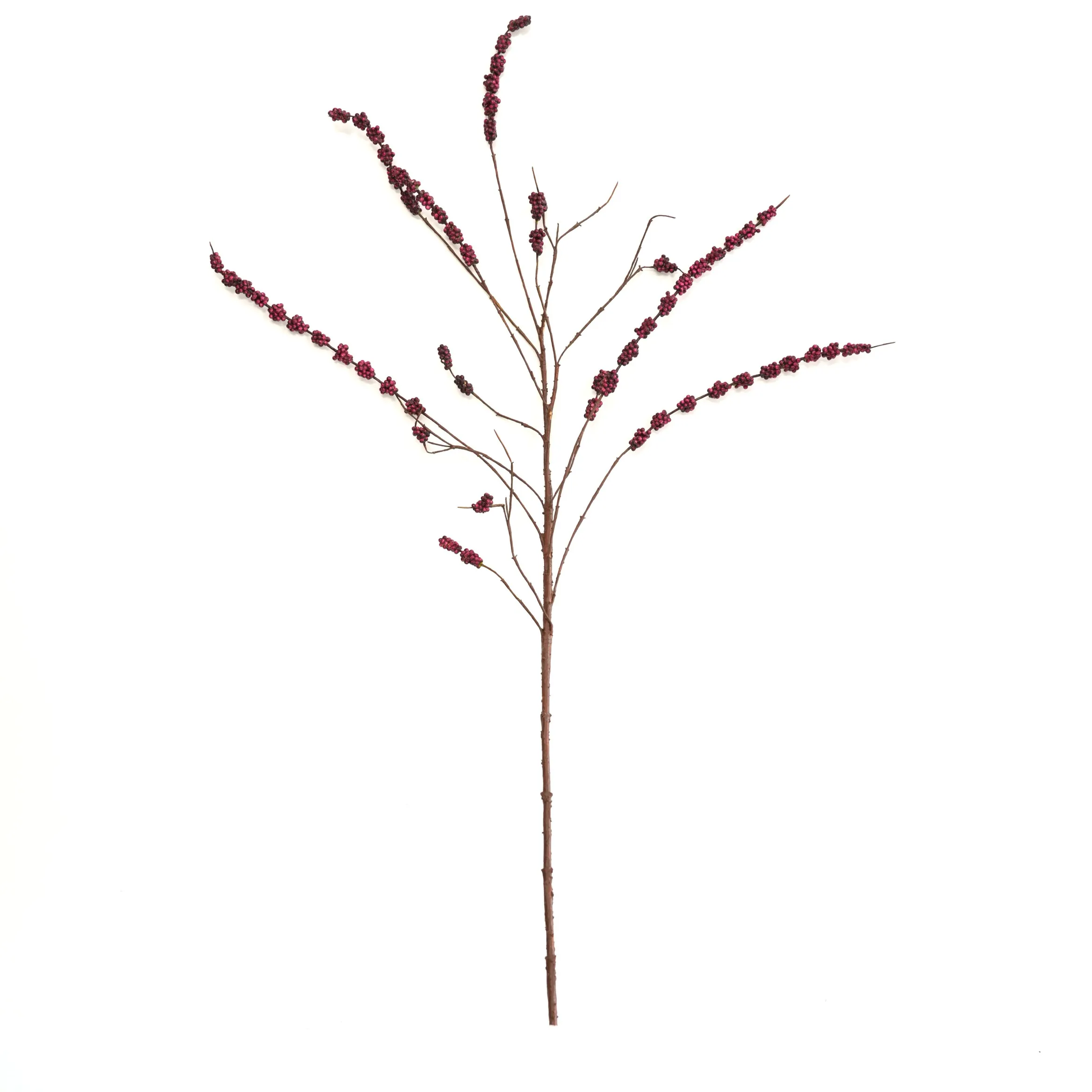 High-blooming mulberry fruit