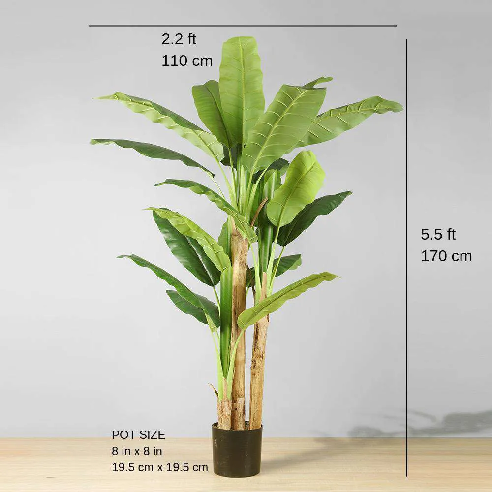 Anna Artificial Banana Tree Potted Plant