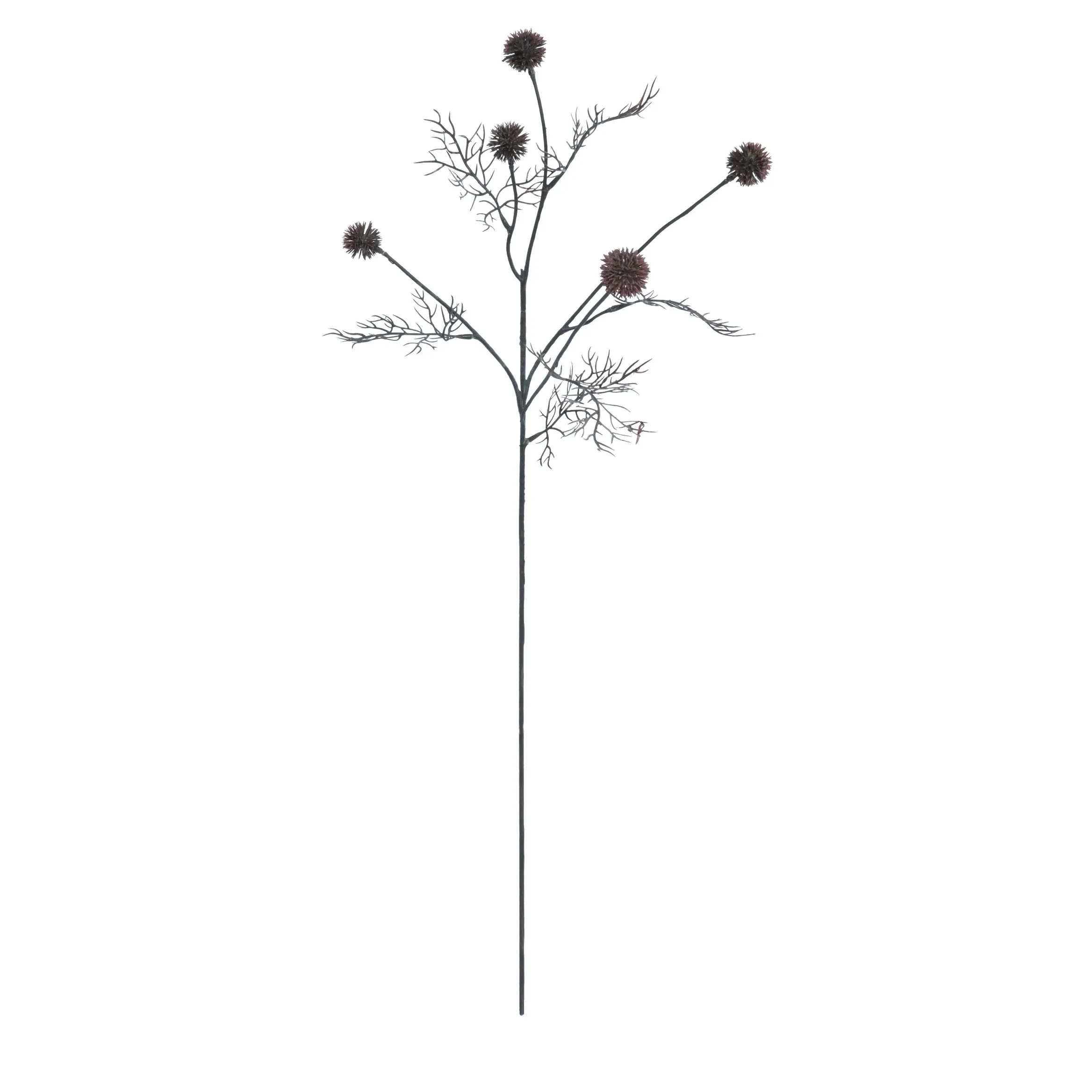 A single windmill fruit