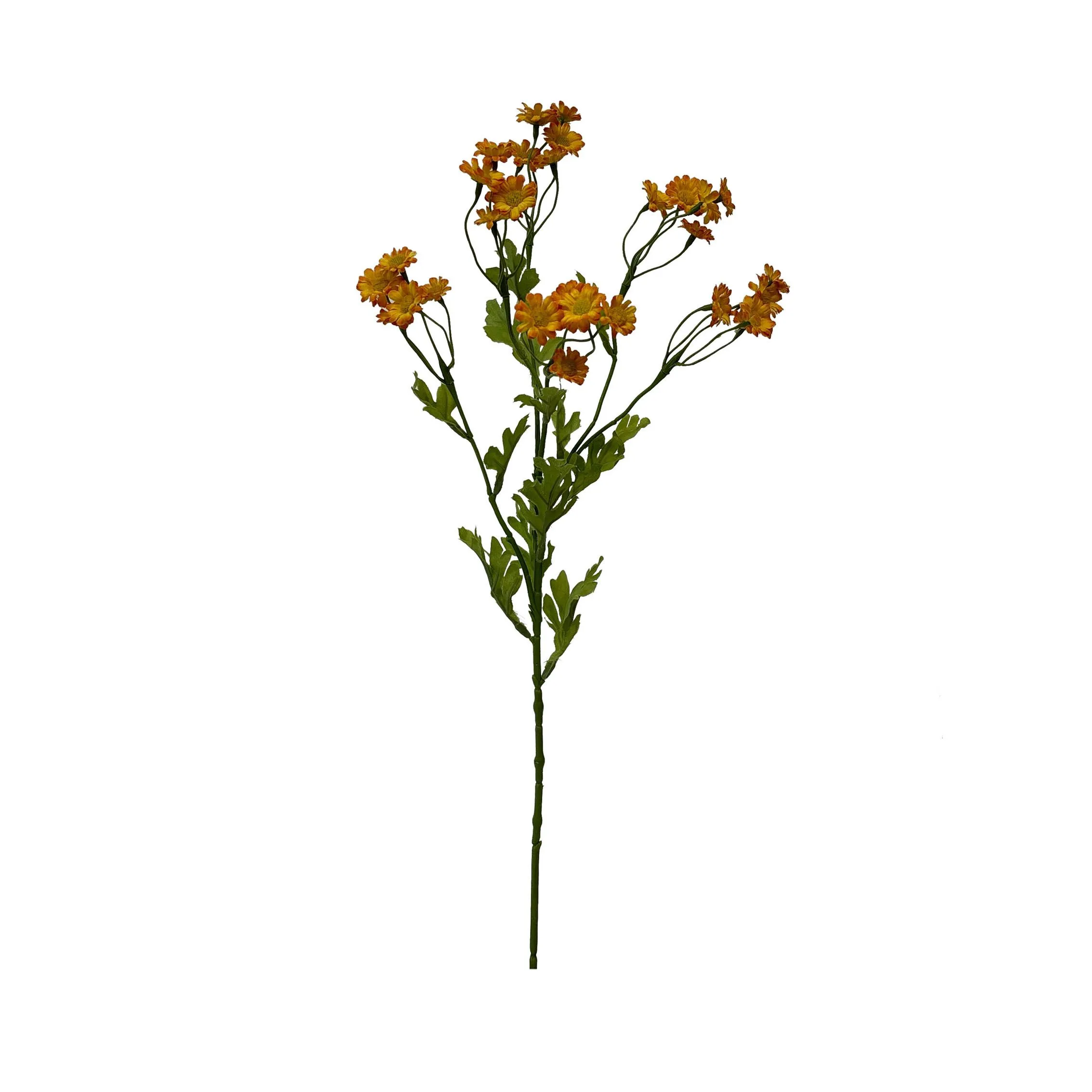 A single serving ofchamomile