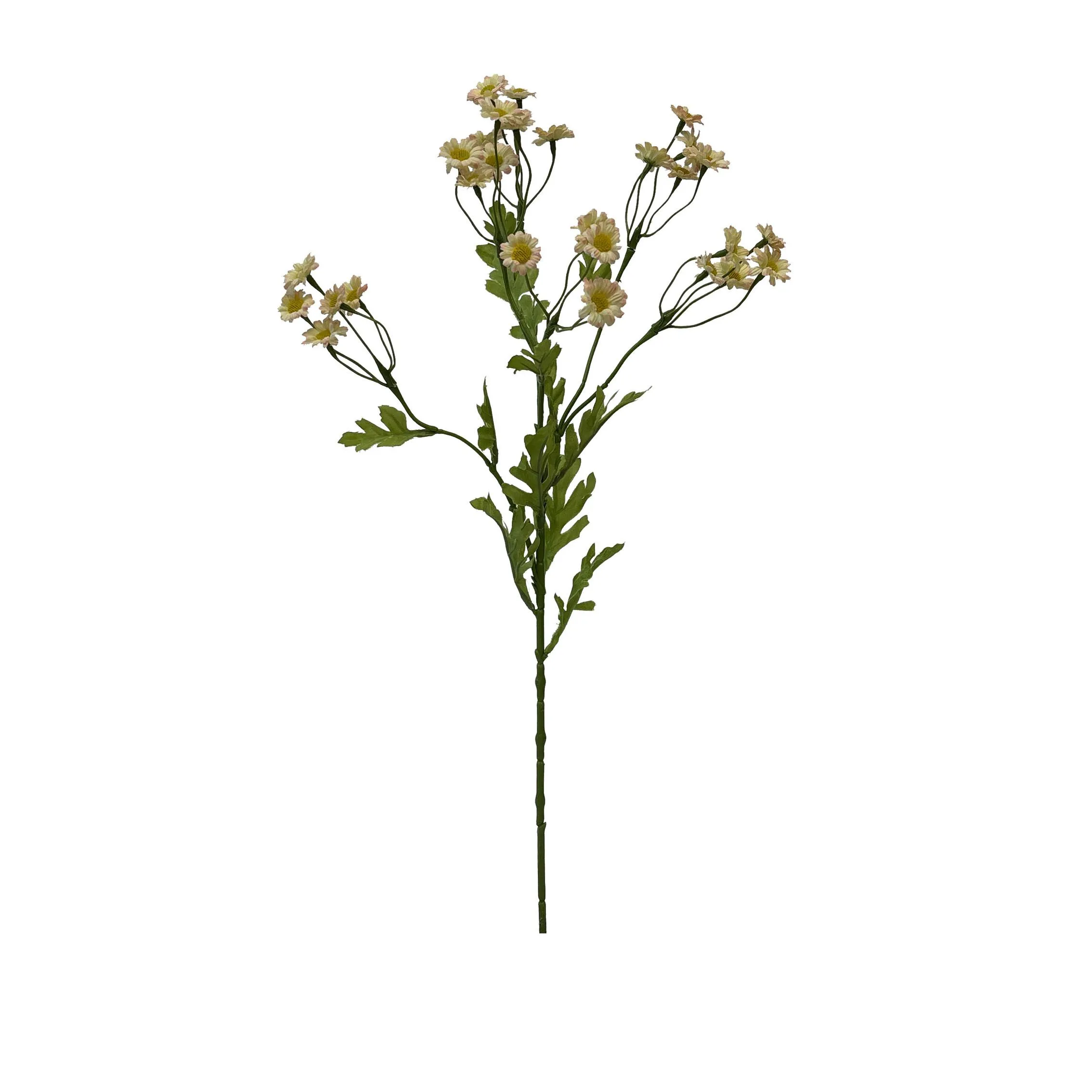 A single serving ofchamomile