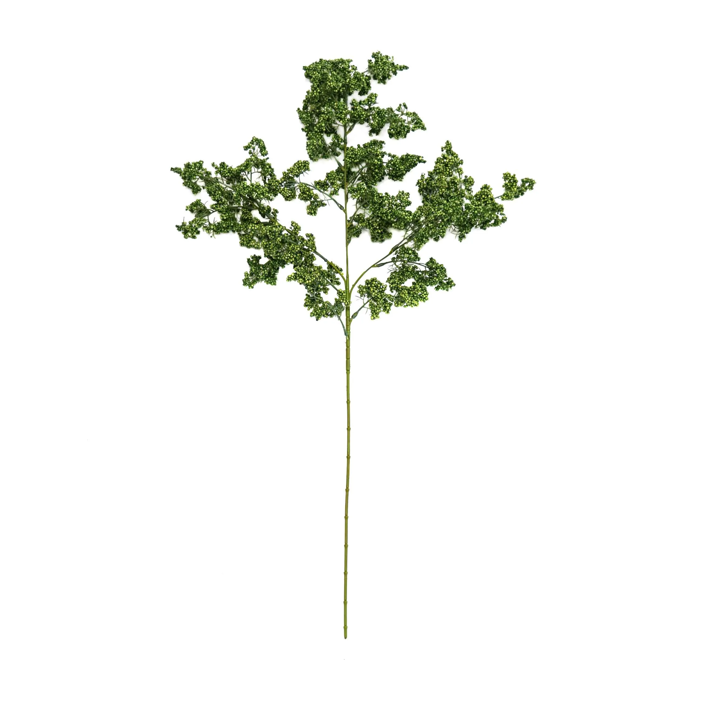 A single winter green fruit