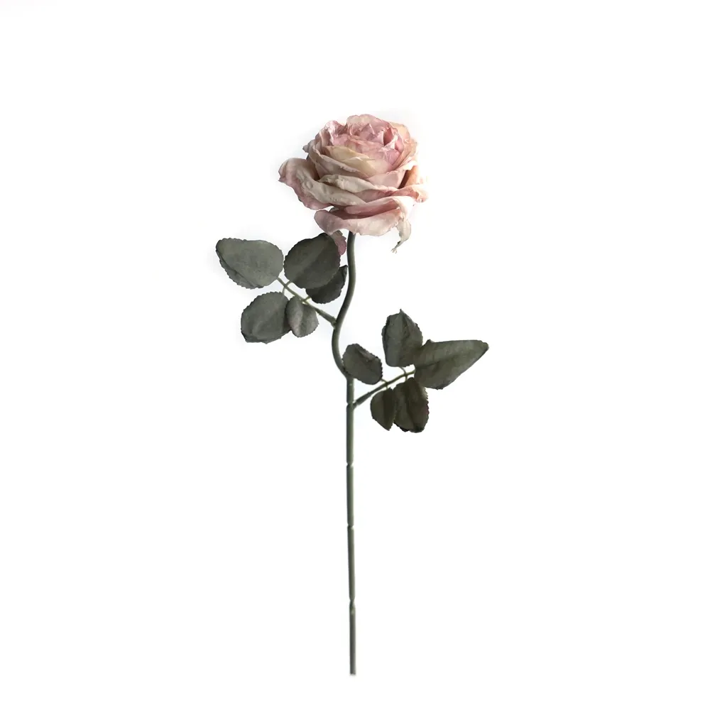 Cork-bordered multilayered roses