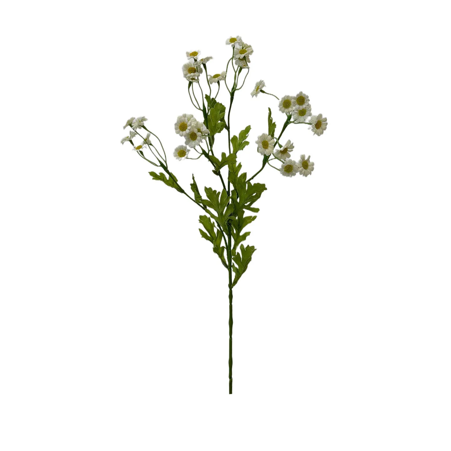 A single serving ofchamomile