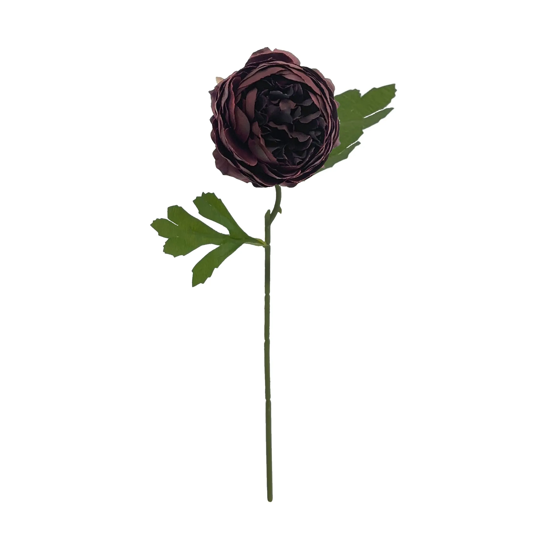Monoheaded peonies