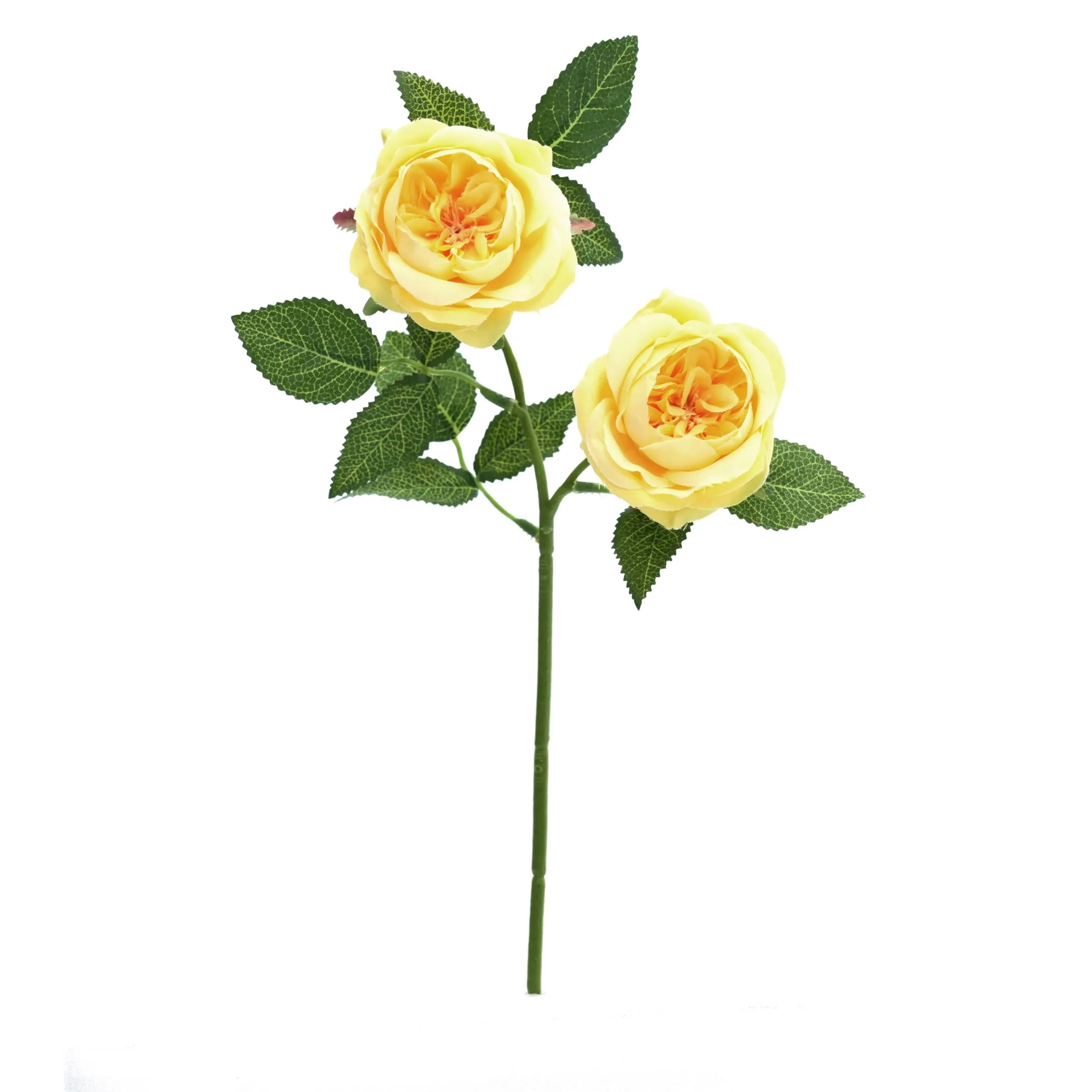 2 roses