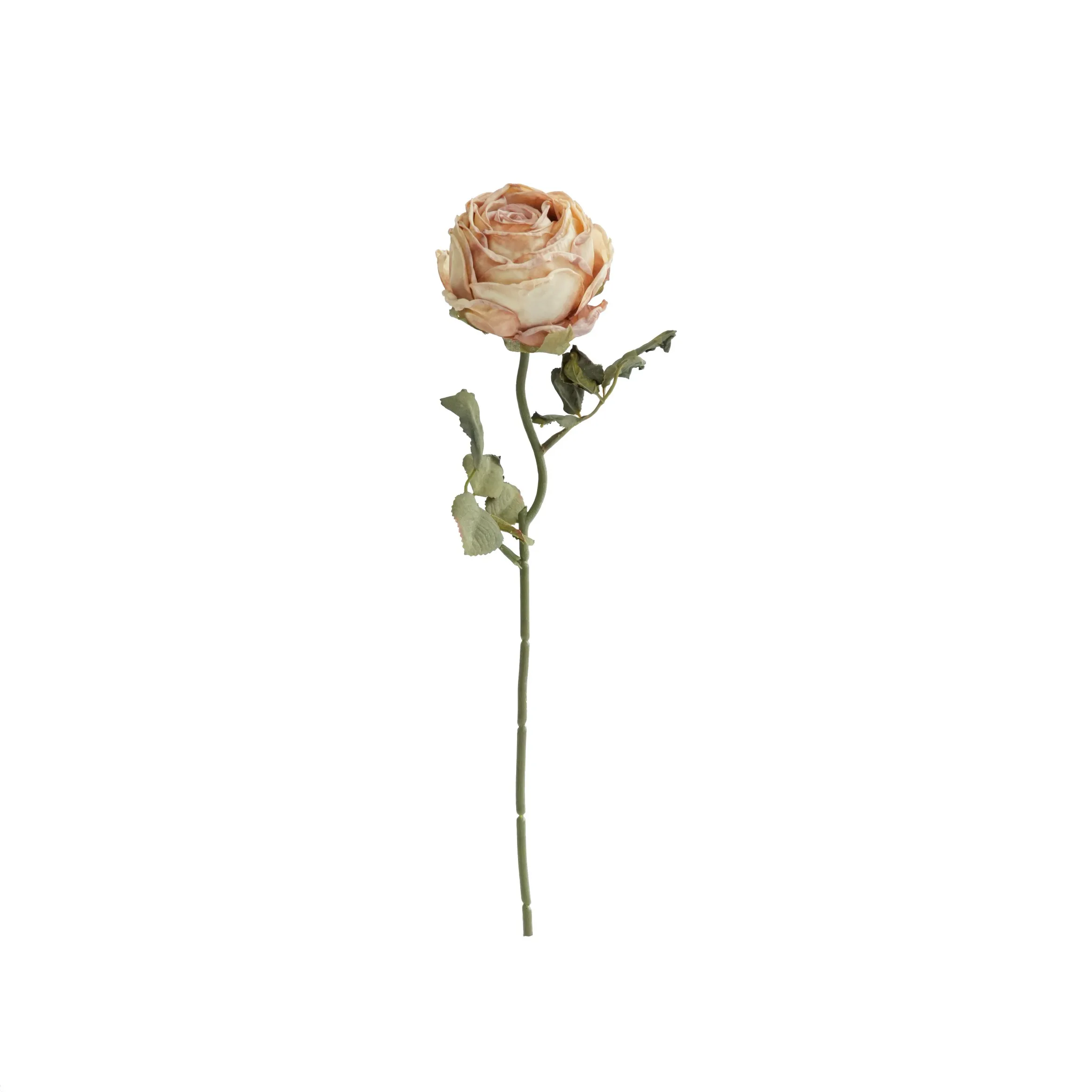 Chopped round roses