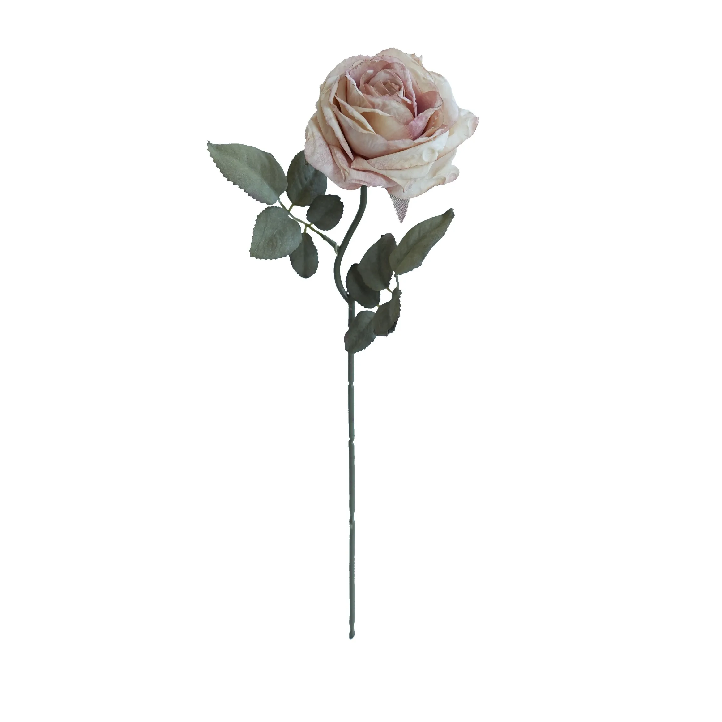 Cork-bordered multilayered roses