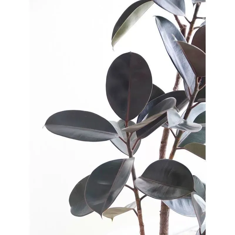 Artificial Rubber Potted Plant