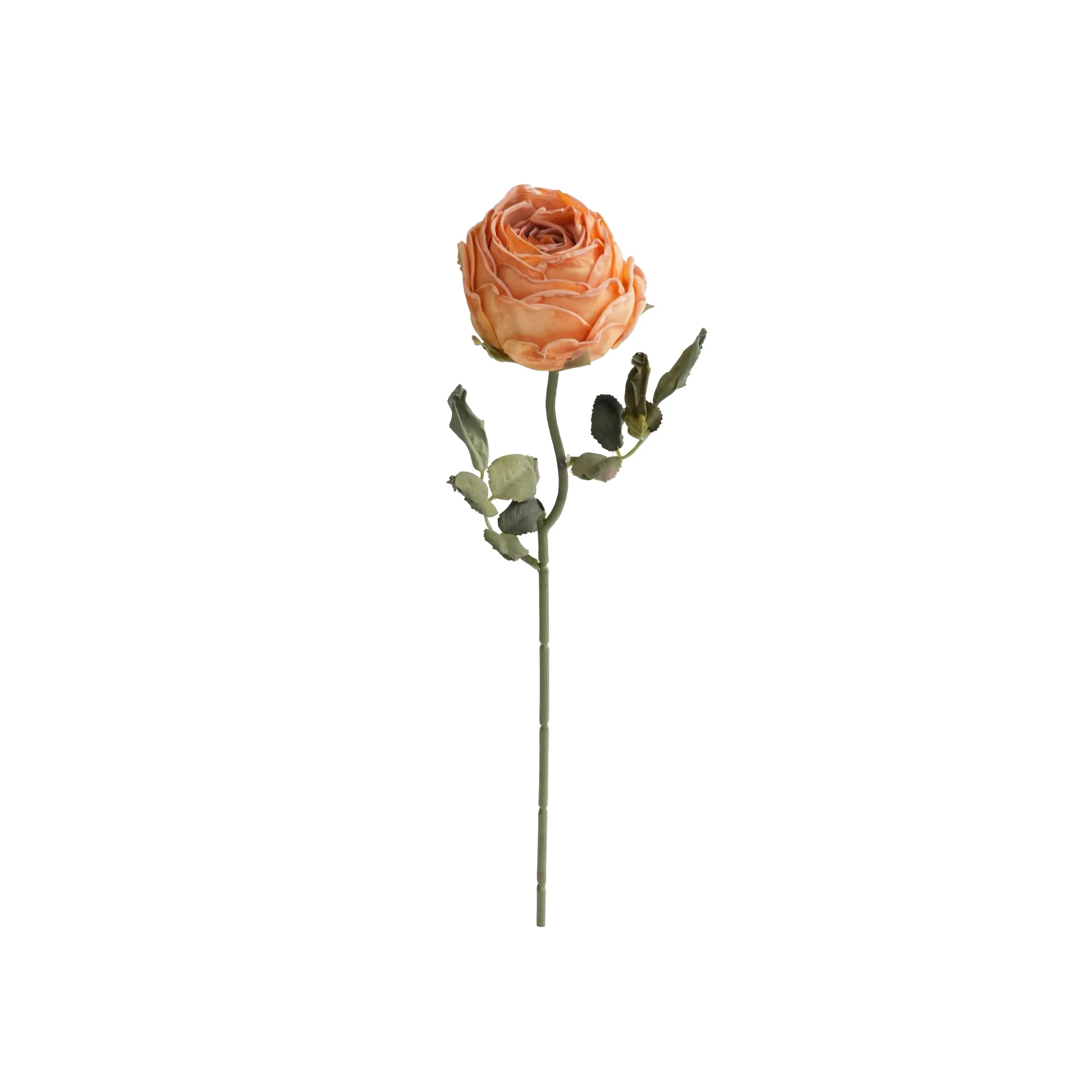 Chopped round roses
