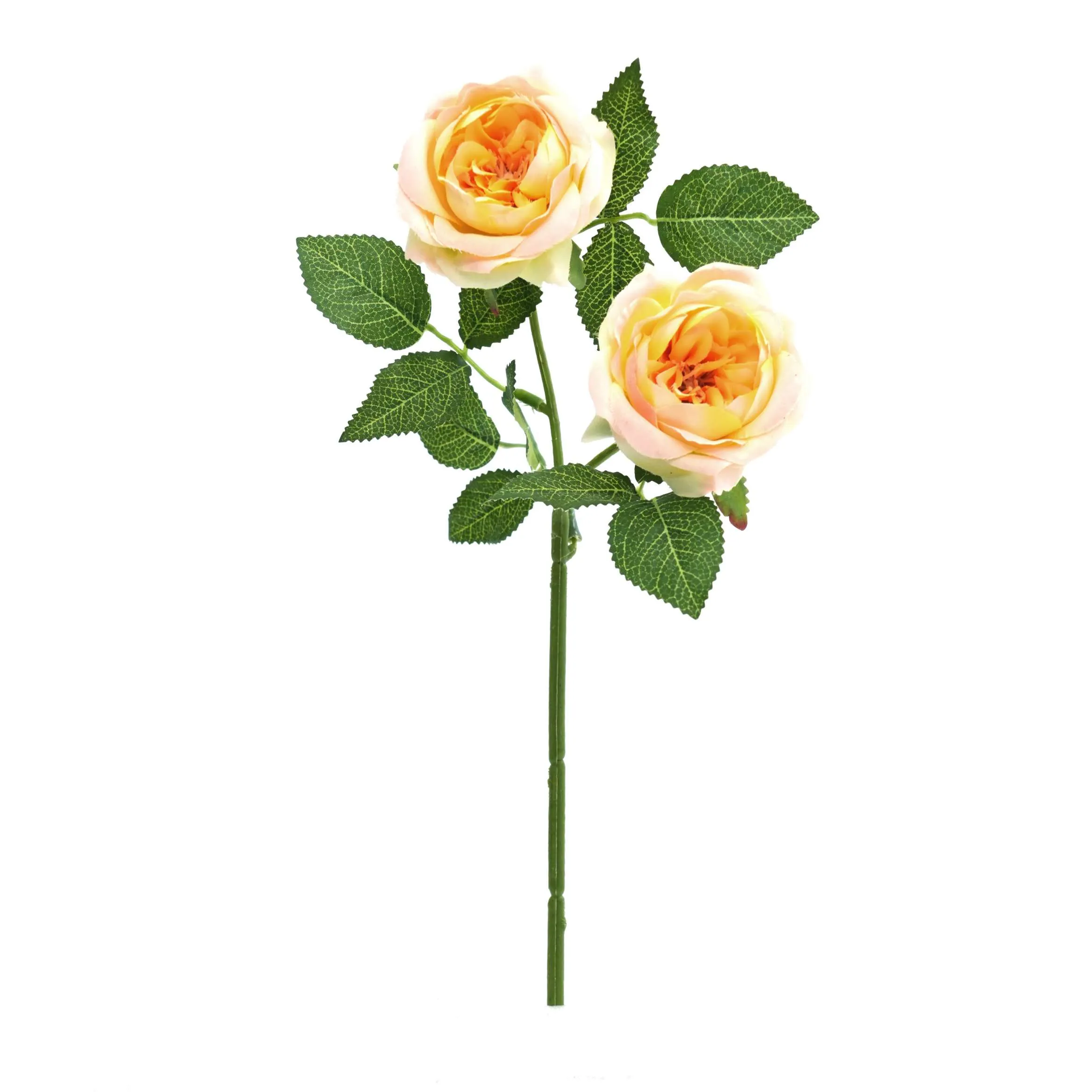 2 roses